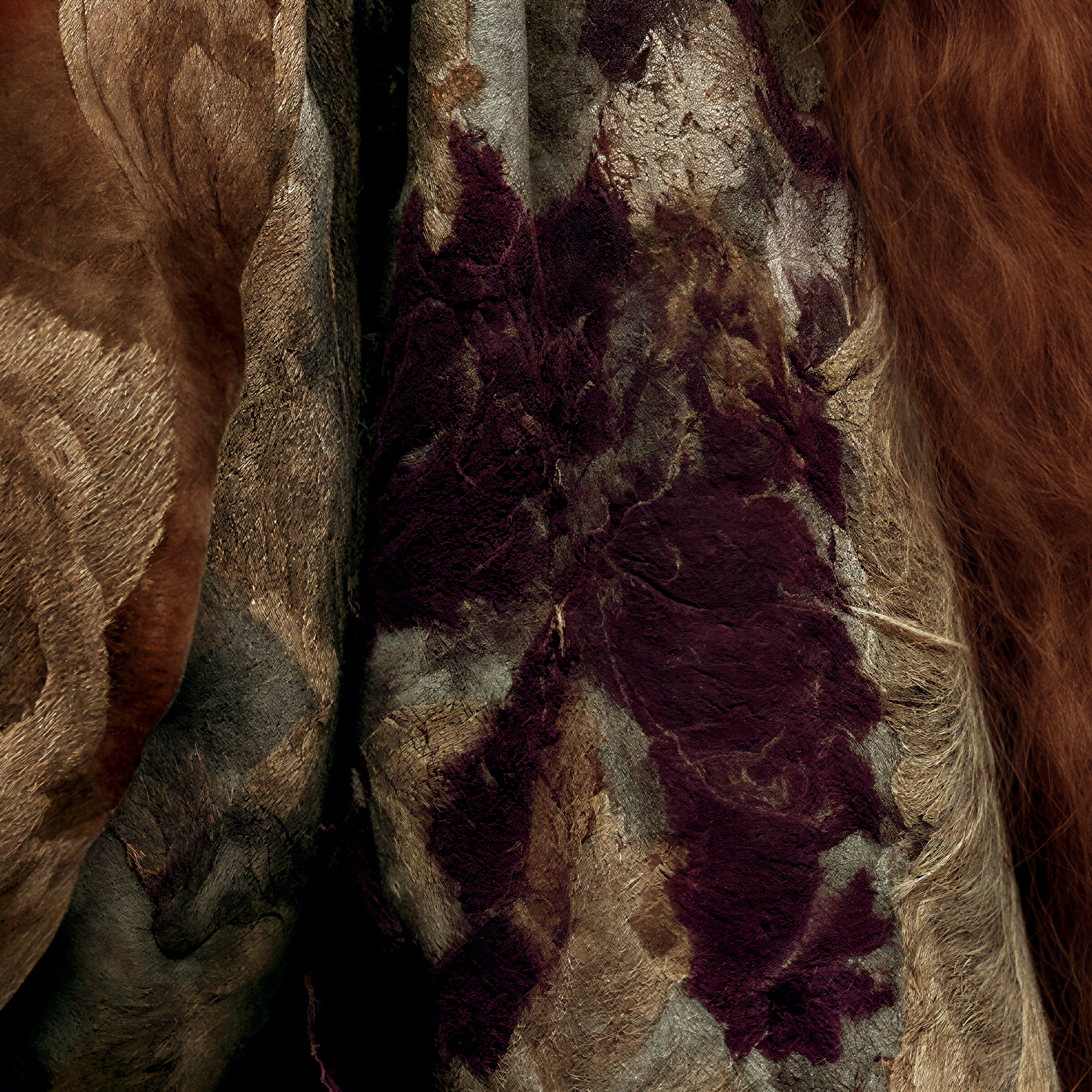 Close detail of shifting floral motifs and irregular pattern transitions within Cressida's brocade garment.