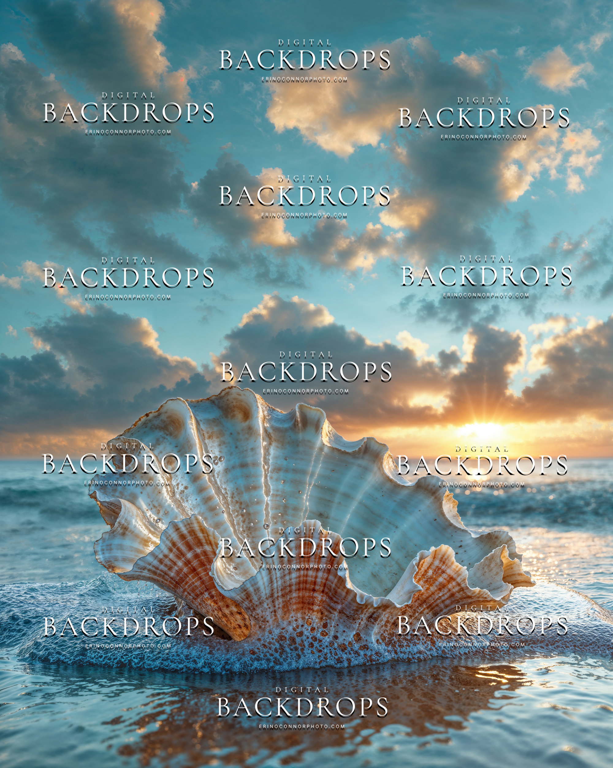 White conch shell digital background at the shoreline with glowing sunrise light, surf, and an airy blue sky.