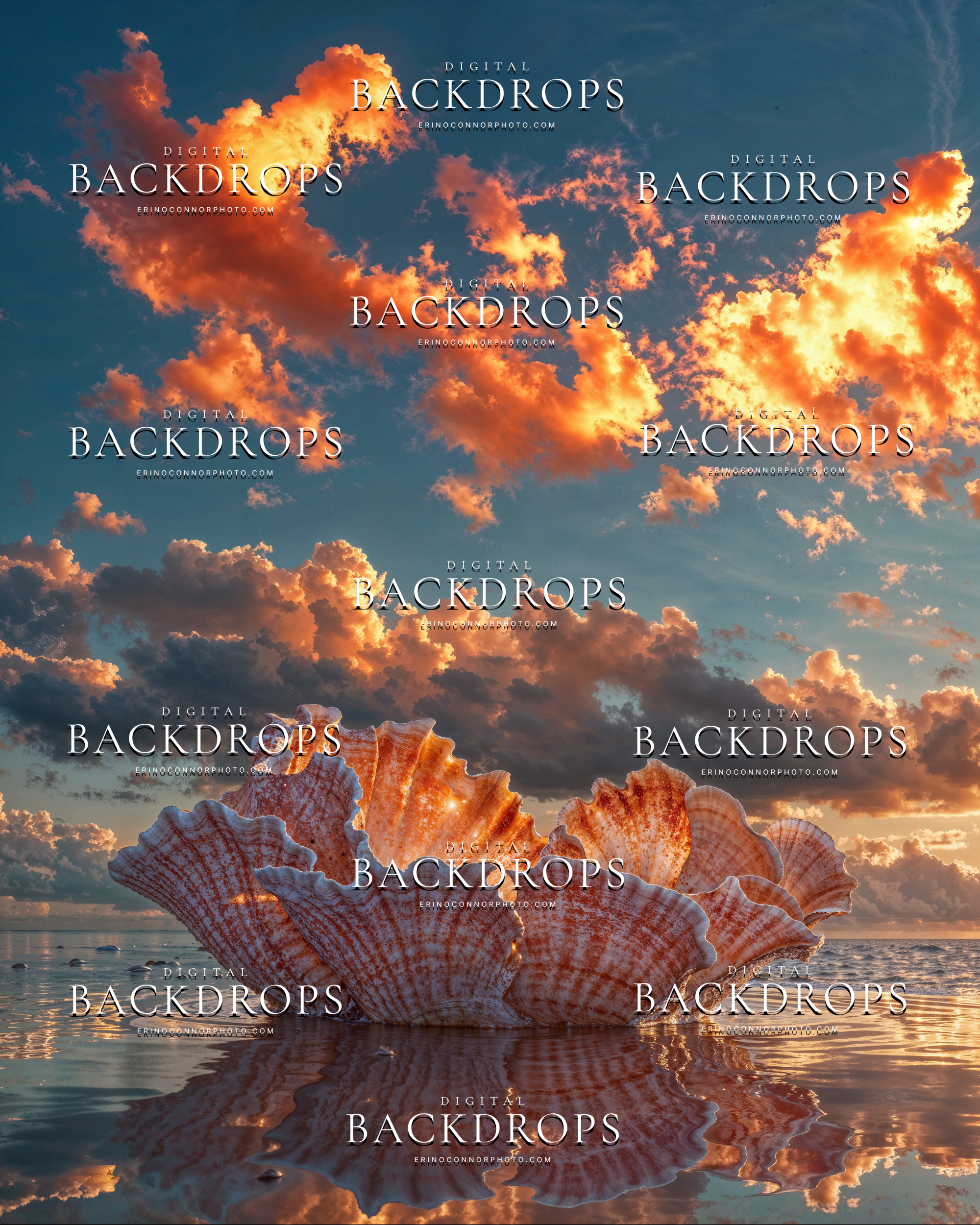 Ocean shell digital background with layered pink toned shell forms, reflective water, and a fiery sunset sky for fantasy portrait composites.