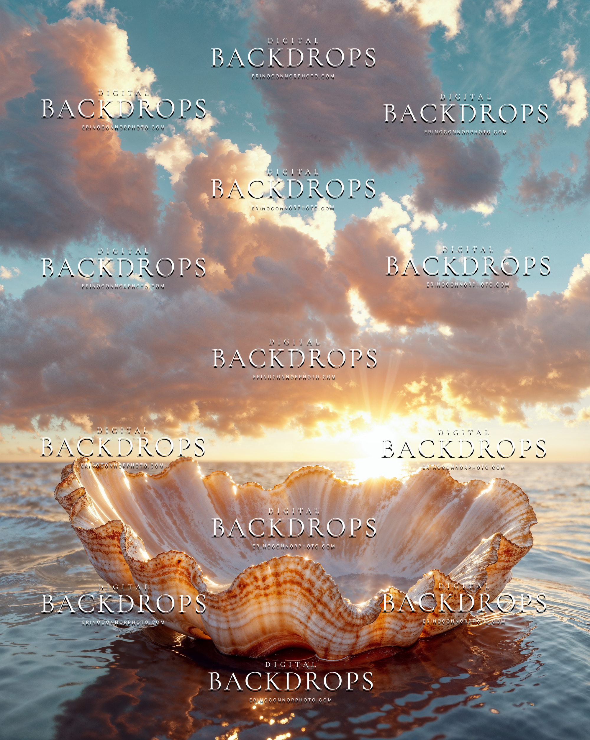 Seashell bowl digital background with warm sunrise light, pastel clouds, reflective water, and a soft coastal fantasy atmosphere.