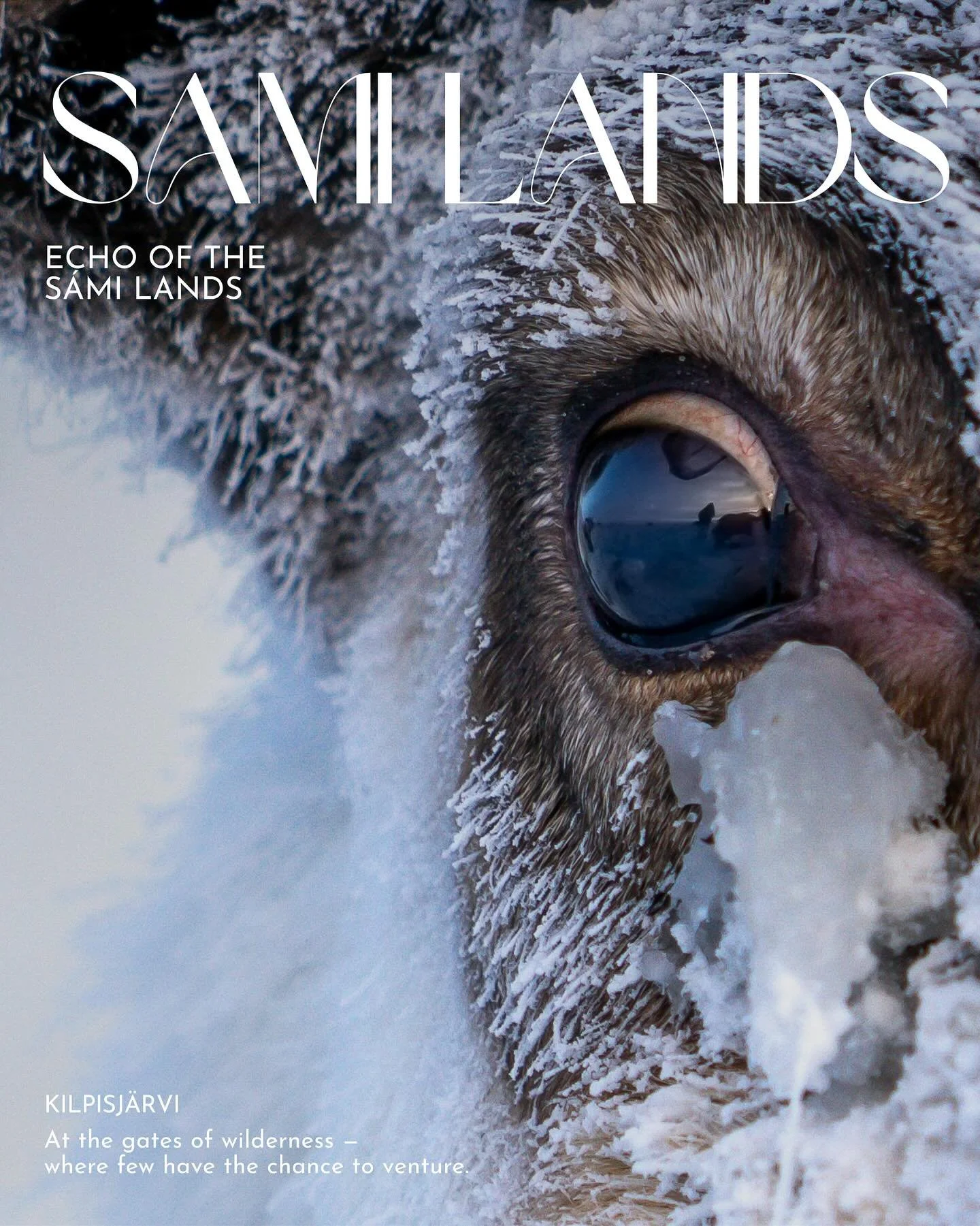 #Lapland, Echo of the S&aacute;mi Lands 🦌

This is your invitation to a place few have the chance to venture &mdash; Kilpisj&auml;rvi, the remote edge of Finnish Lapland, untouched and nestled at the border of Norway and Sweden. For those who seek a