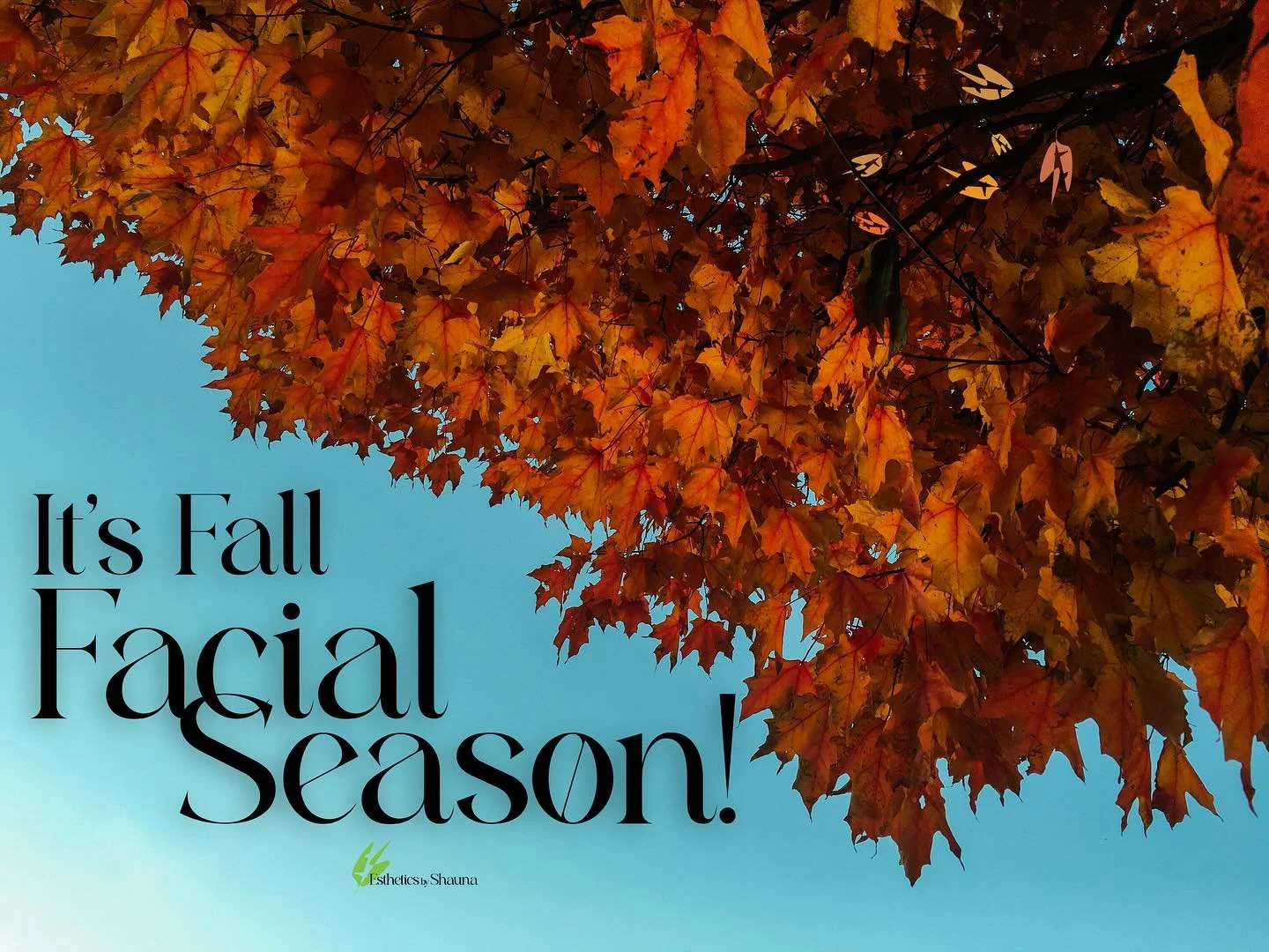 🍂 Hello, Fall! 

The air is crisp, the leaves are golden, and it's the perfect time to refresh your skin for the new season! ✨

We're welcoming Autumn with glow-boosting Fall Facials to help to restore hydration, repair summer damage, and prep your 