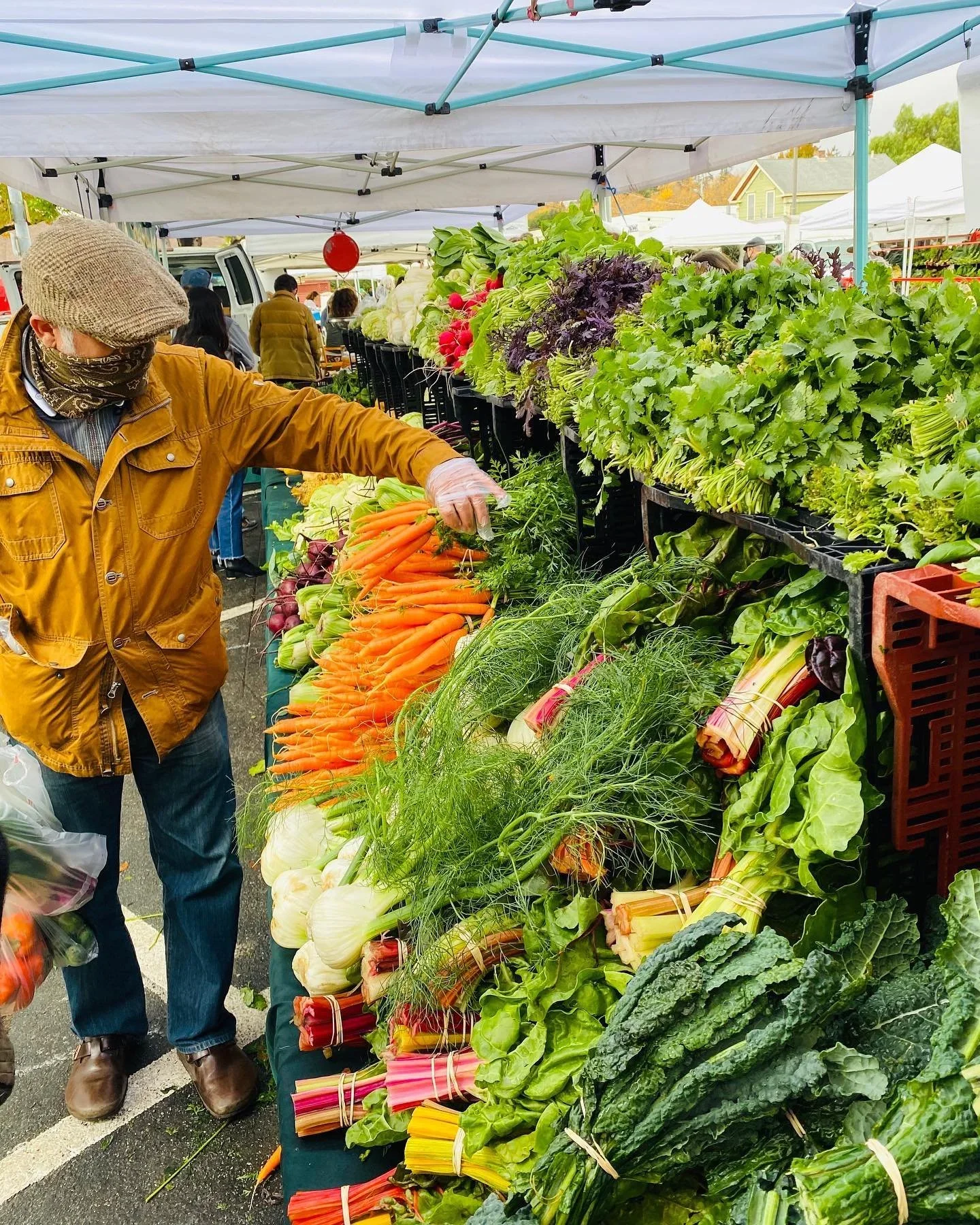 Live Earth Farm
