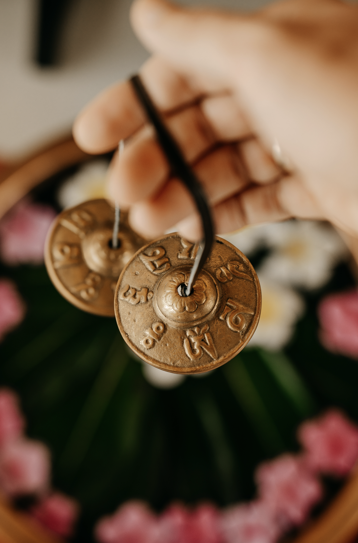 Screenshot 2026-04-23 at 11.55.33.png