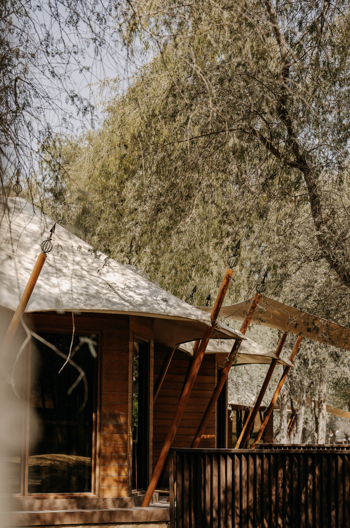 Ritz-Carlton Al Wadi Desert