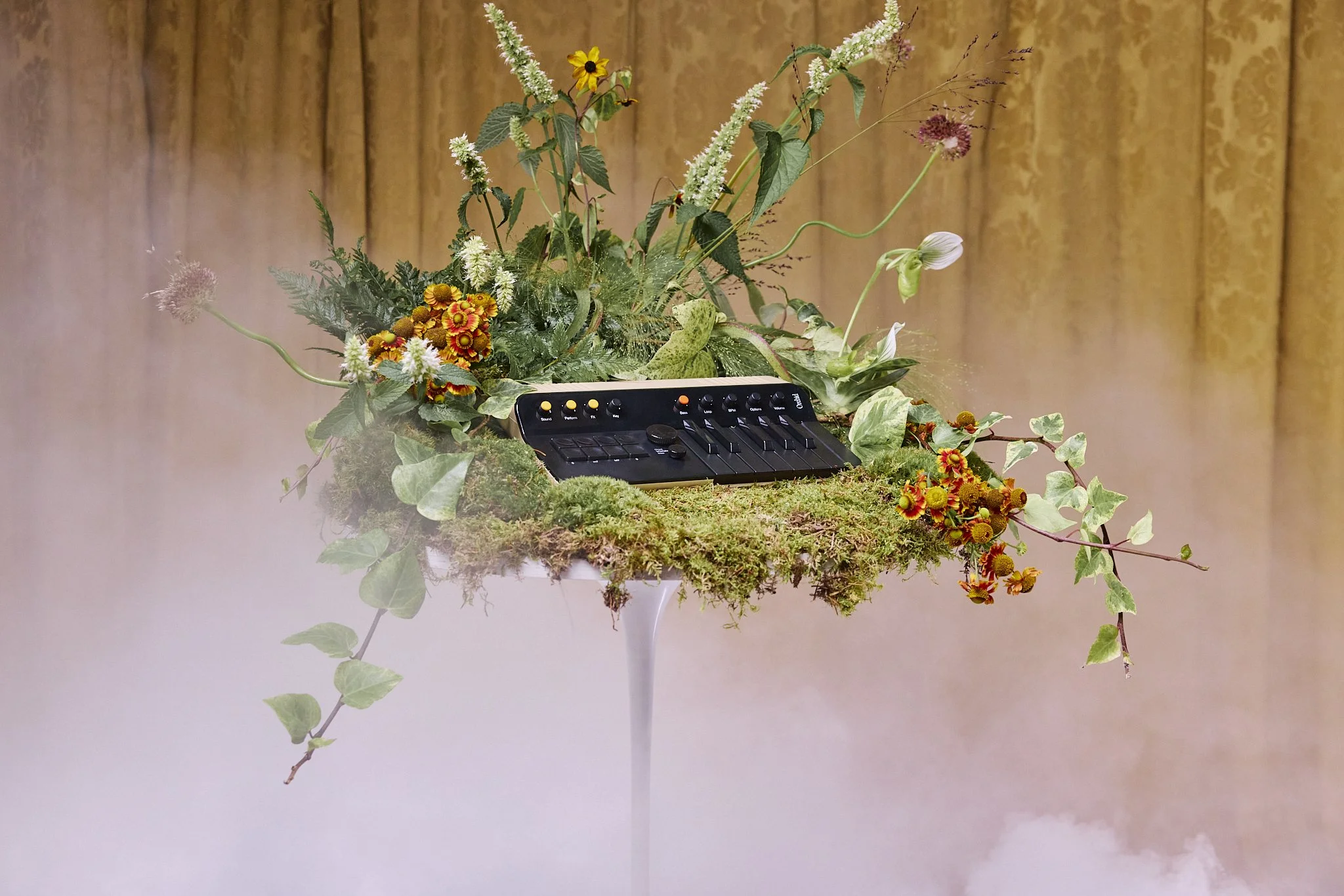 2025-08-19_TELEPATHIC INSTRUMENTS_0329.jpg