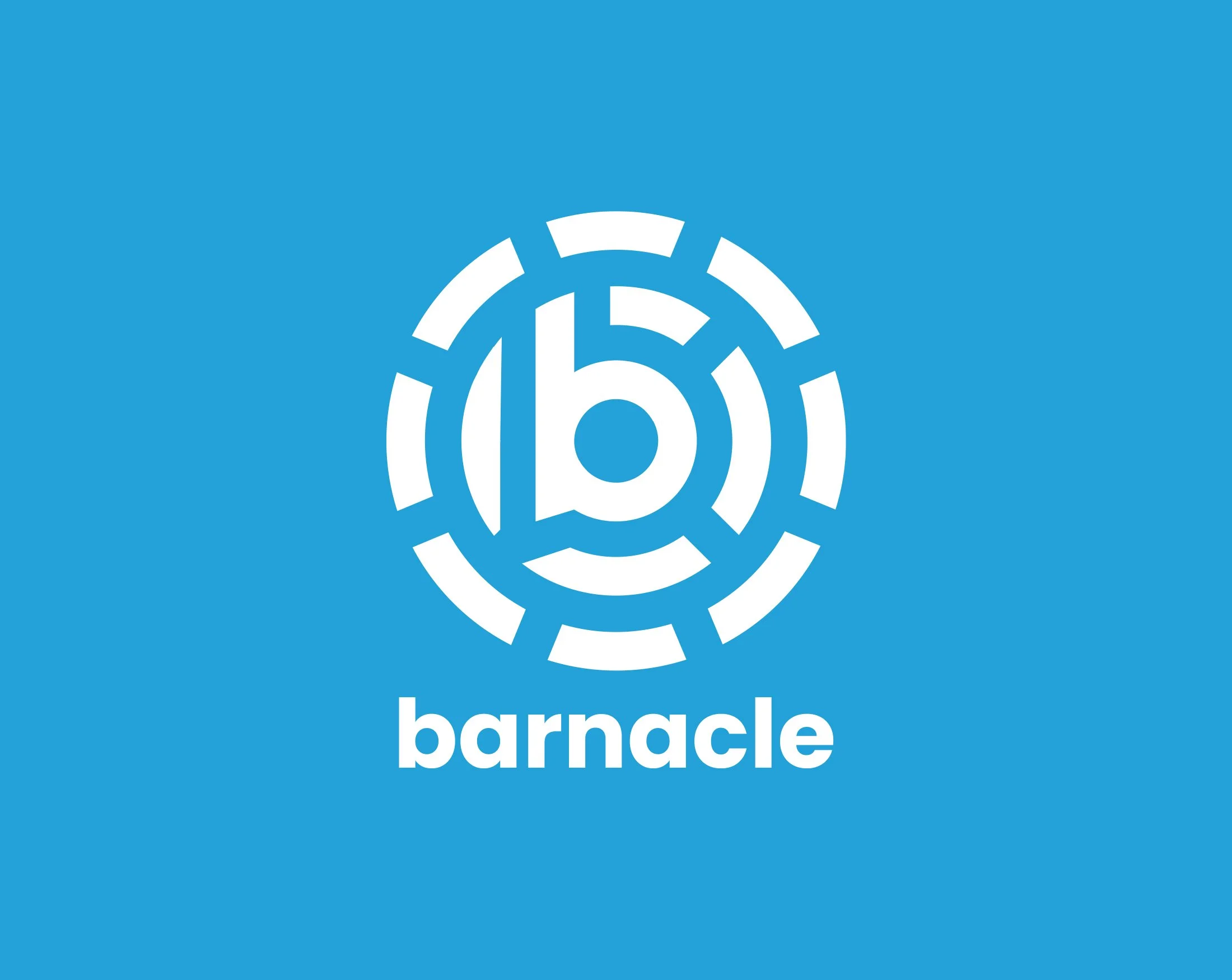 Barnacle_Branding_ProjectImages_2_2.jpg
