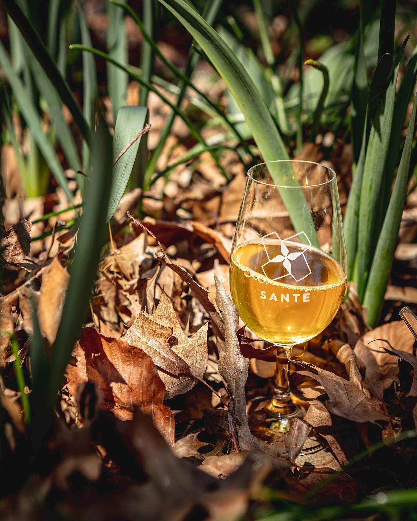 Sant&eacute; glassware just dropped in time for spring
&bull;
4 glasses/$25. Discounts available for industry folk. DM to snag.
Design work done by my good friend @whowhatwolf Beautiful photos from the best there is @jordanaugustphoto 
&bull;
&bull;
