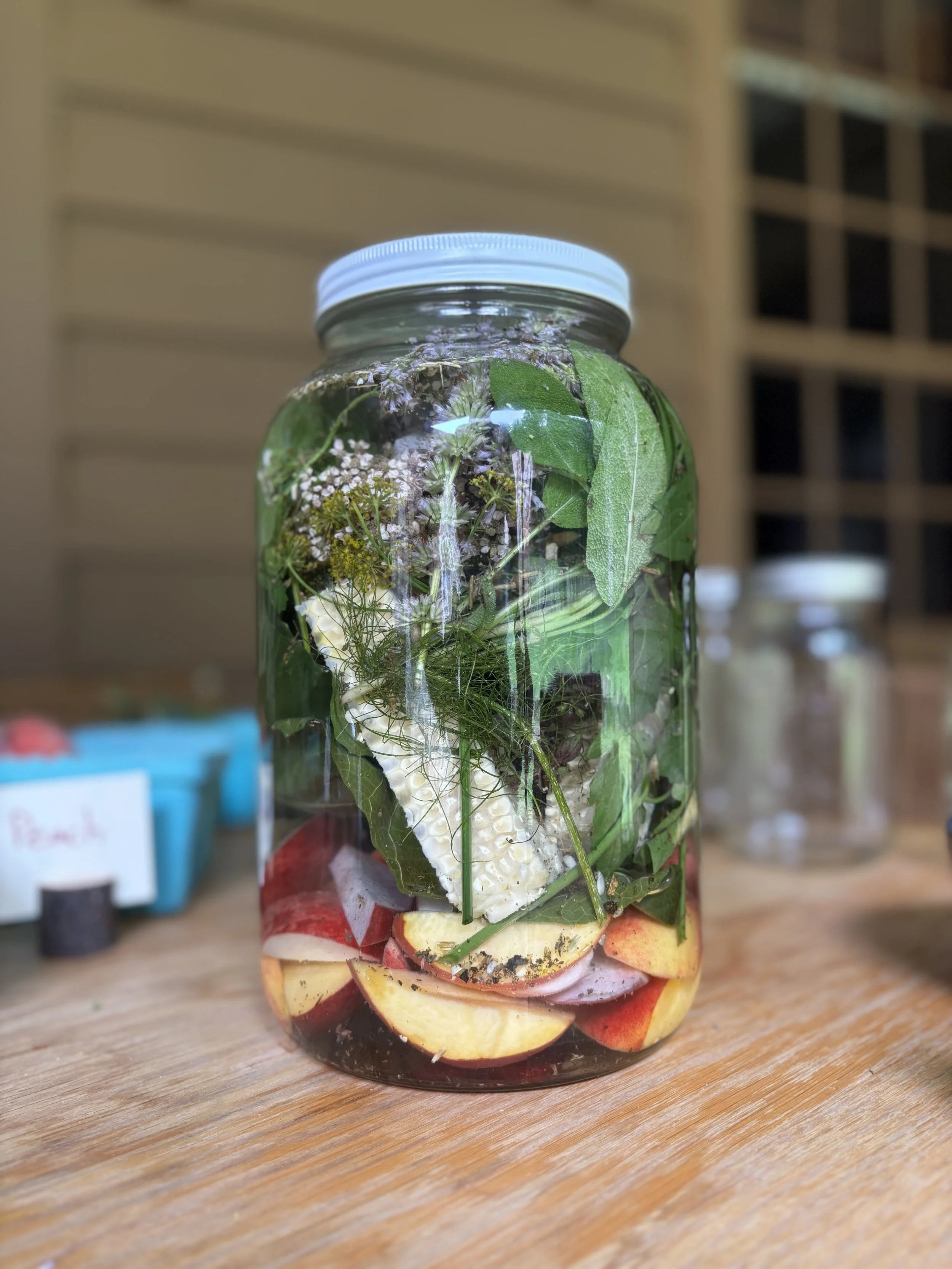 Fall Amaro Workshop at Steady Hand Cafe