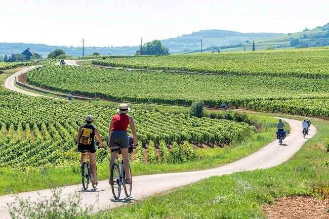 thumbnail_Voie-des-vignes-Alain_DOIRE__BFC_Tourisme-BFC_0010082_A4.jpg
