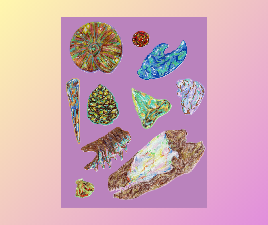 ✨Opal Bundle ✨