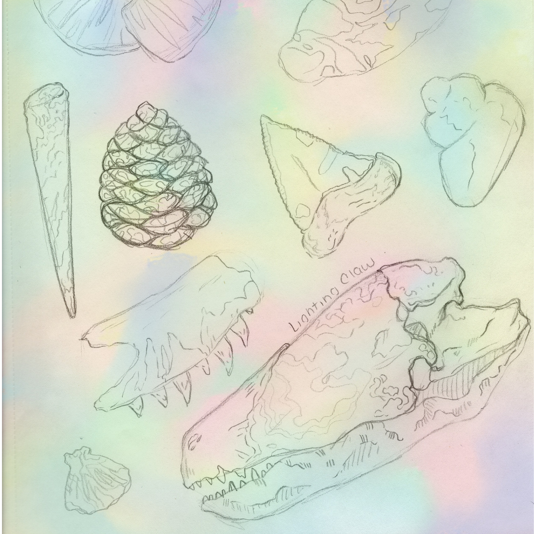 Opalized Fossils
