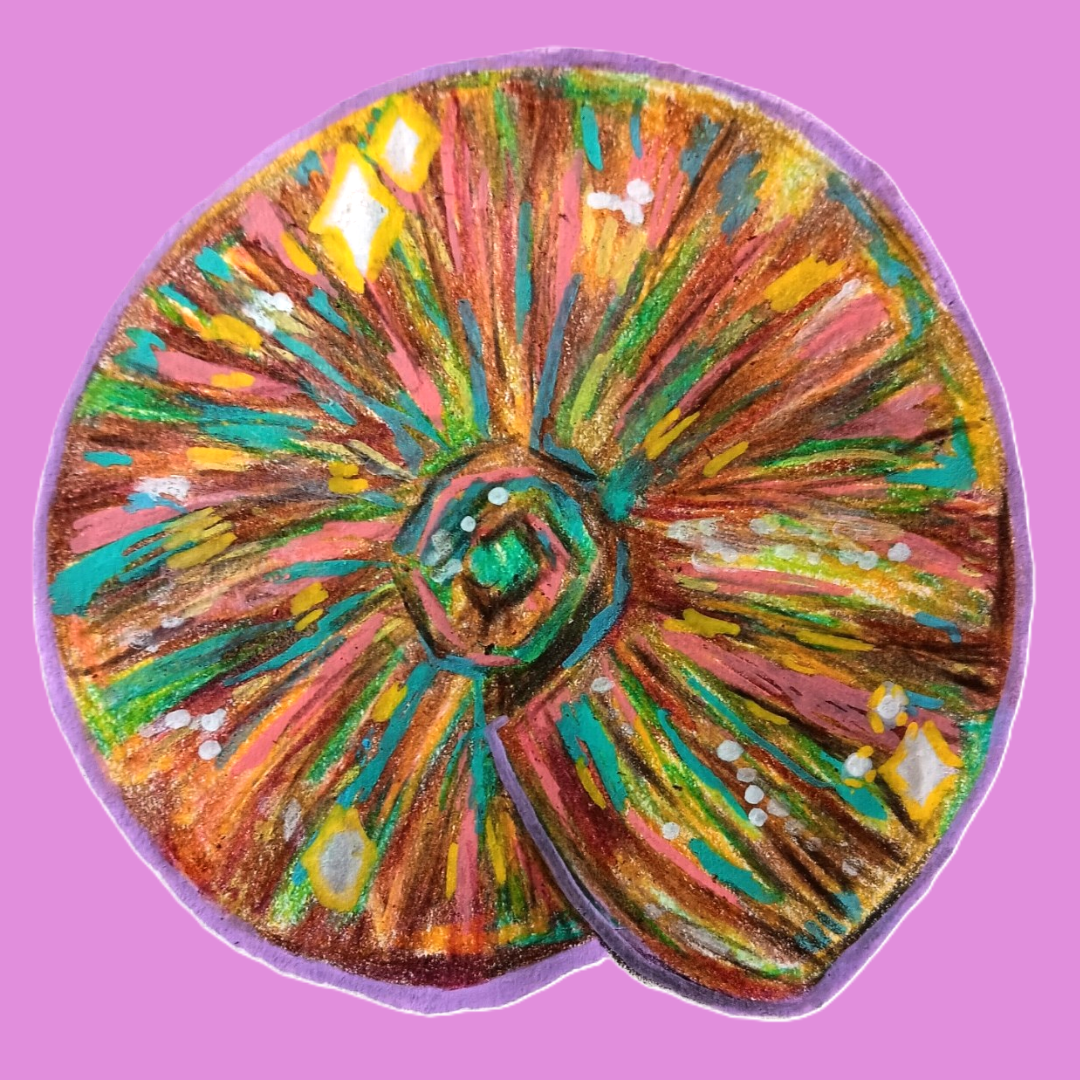 Educational Dump on Opal Fossils