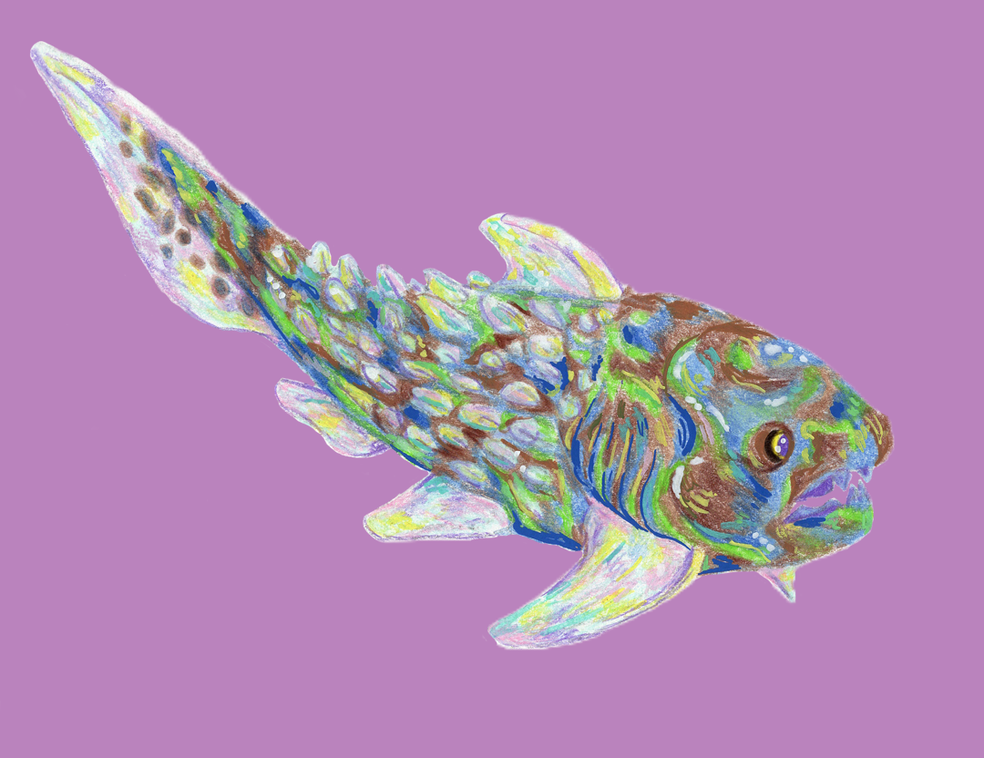 Collection Complete! 