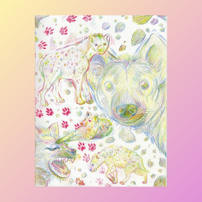 About a one-hour study on the Spotted Hyena. Figured I would have fun with it as well and give it some spunk, since these animals are very spunky themselves. 

Medium: My big chunky confetti pencil and a red, blue, and yellow color pencil. 

#animals