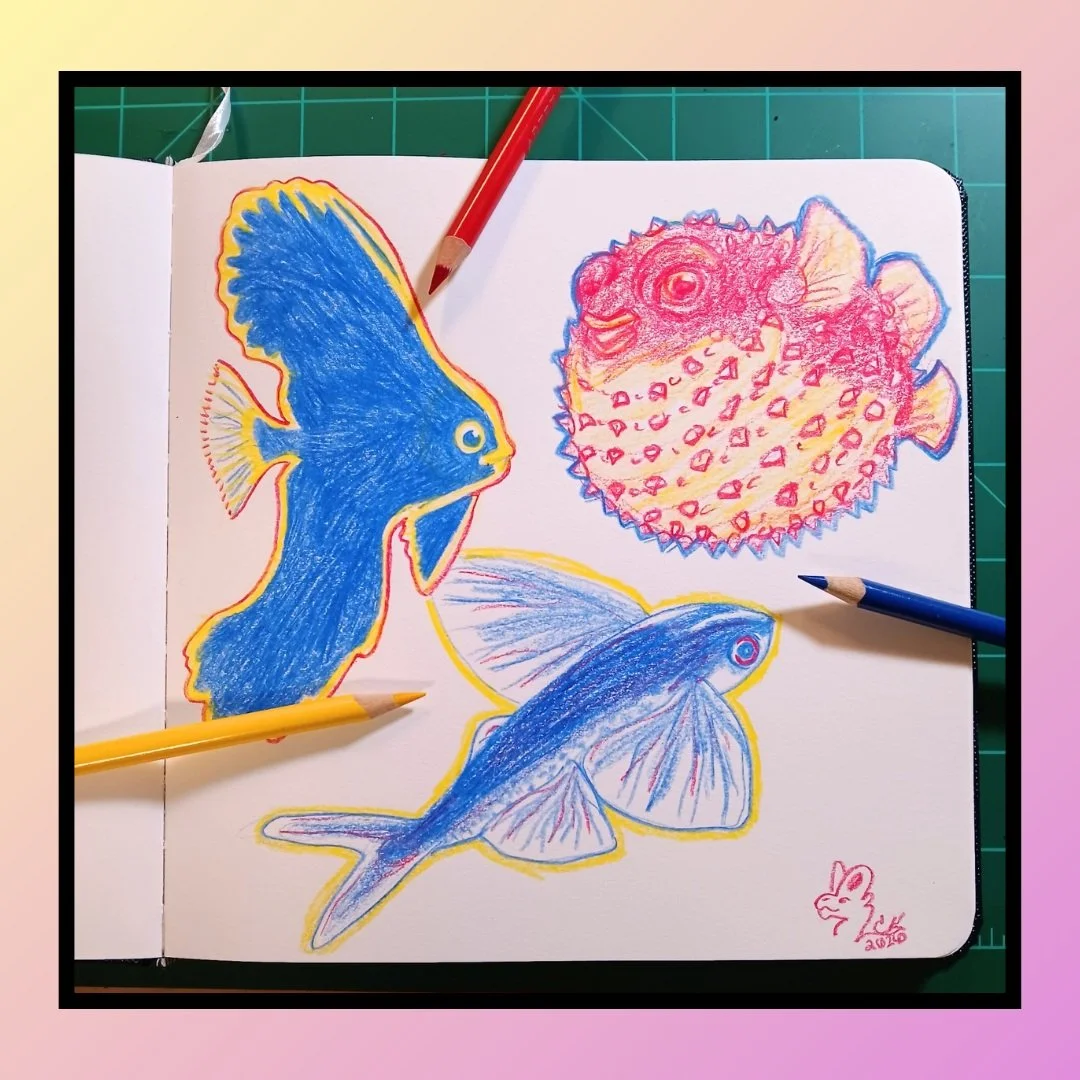 Enjoying some casual doodling with the foundational primary colors. It is always good to go back to the basics. 

Pufferfish is a vibe 😊. 

Medium: Crayola color pencil 

#fish #flyingfish #pufferfish #ocean #wildlife #art #wildlifeart #primarycolor