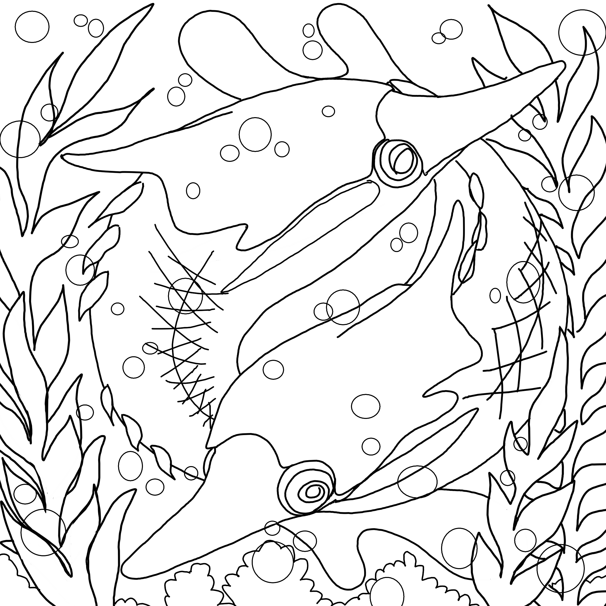 pteraspis.png