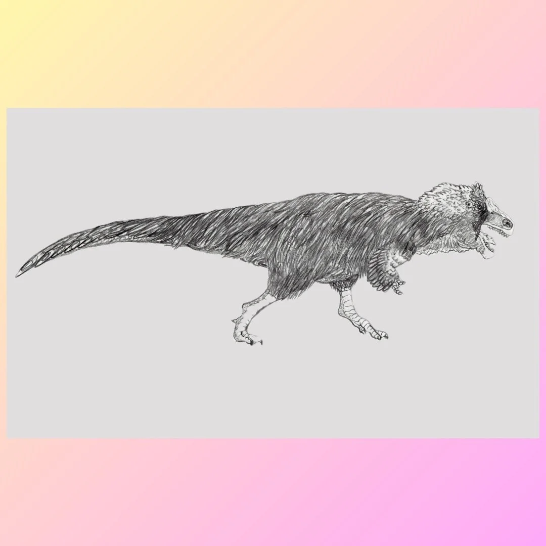 Acrocanthosaurus - the high spined lizard...or at least my rendition of him. Now, I don't think that there is evidence that these larger theropods sported a great amount of plumage. But I don't think there is evidence saying they didn't and at the en
