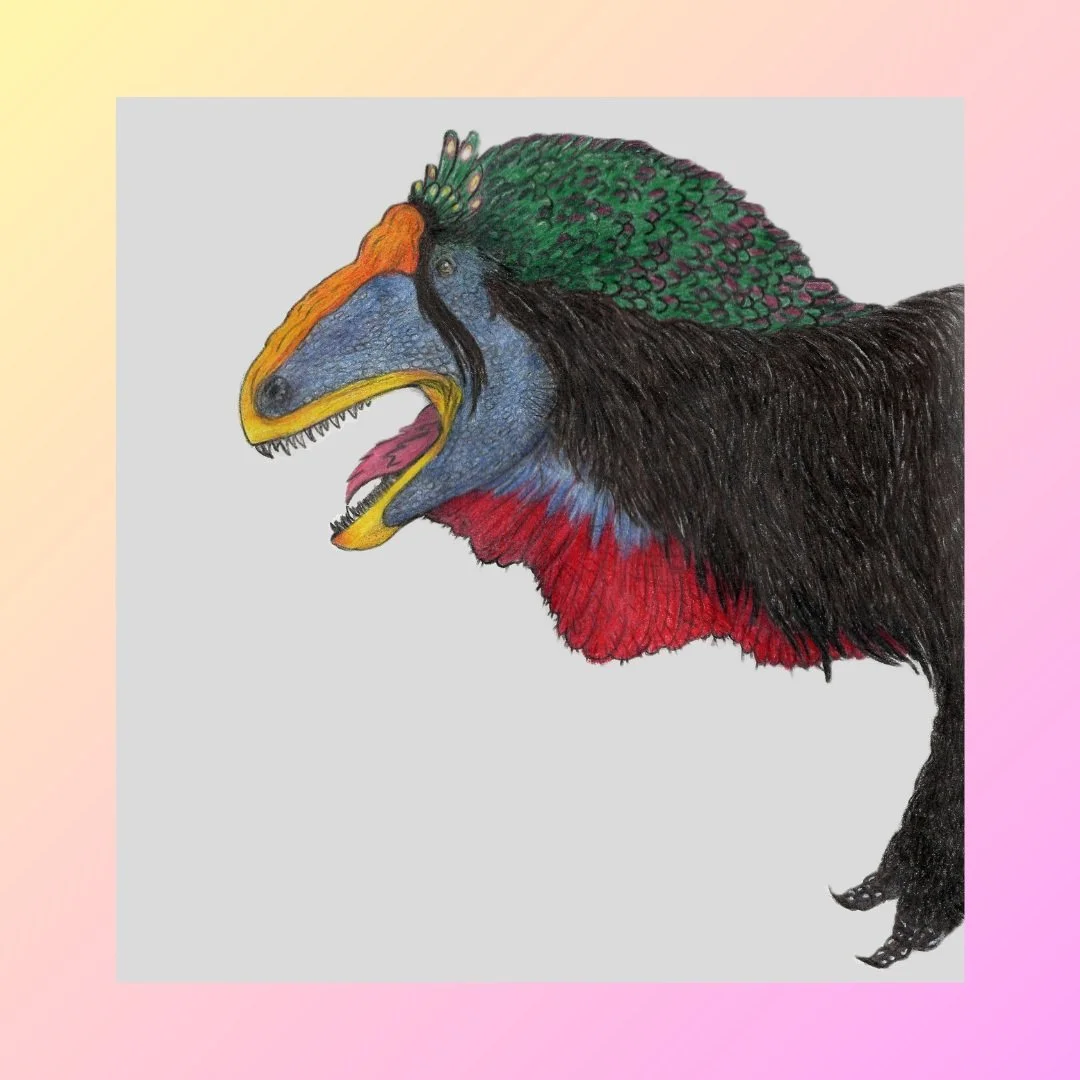 Coloring process is now complete. Adding color really brought this beast to life. What do you guys think? Do you like the plumage? Do you like the colors I chose? 

Medium: Color pencil

#paleoart #paleontology #acrocanthosaurus #dinosaurs #nature #c