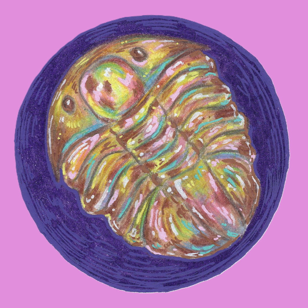 ✨ Opalized Trilobite Sticker – 3x3