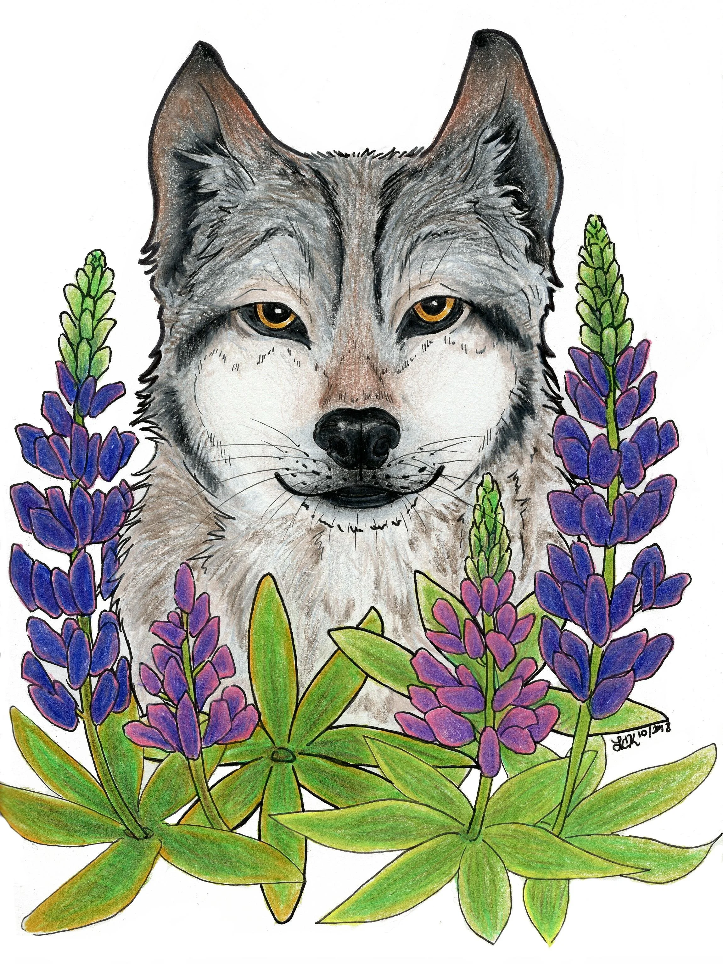 Wolf_Lupine_Cleanup.jpg
