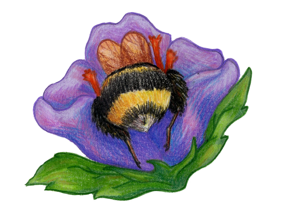 Sleeping Bumblebee Sticker