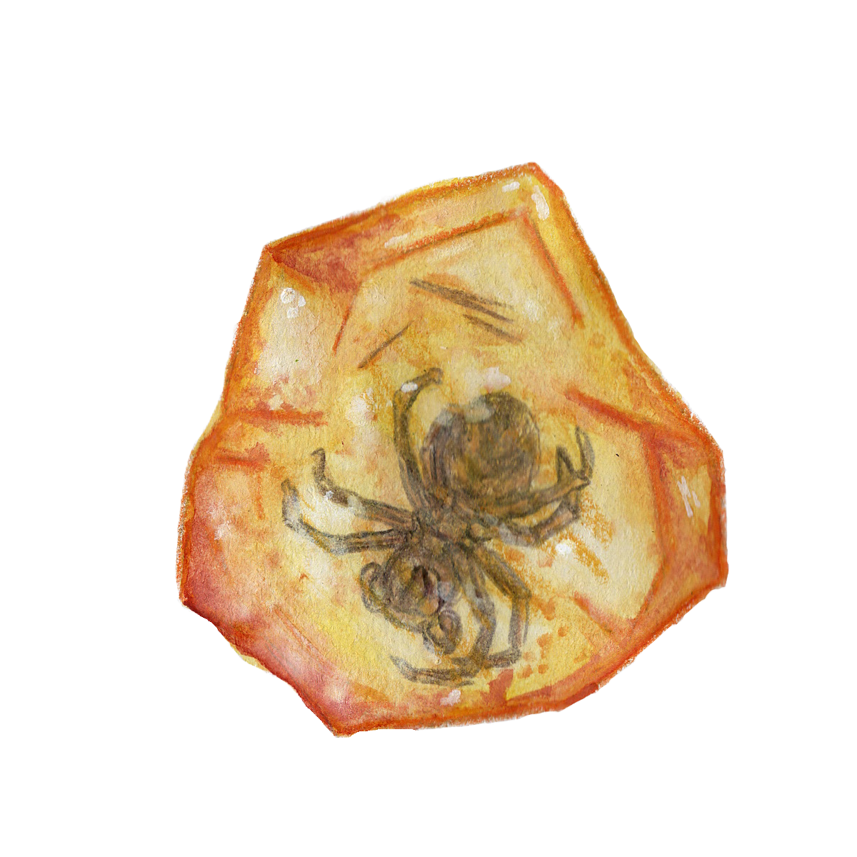 Caught in Amber – Spider Sticker
