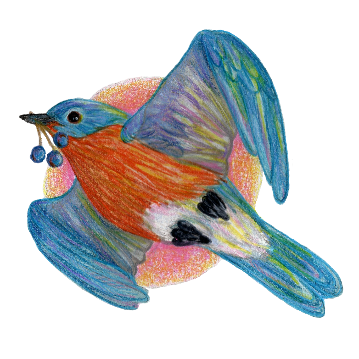 Hungry Little Bluebird Sticker