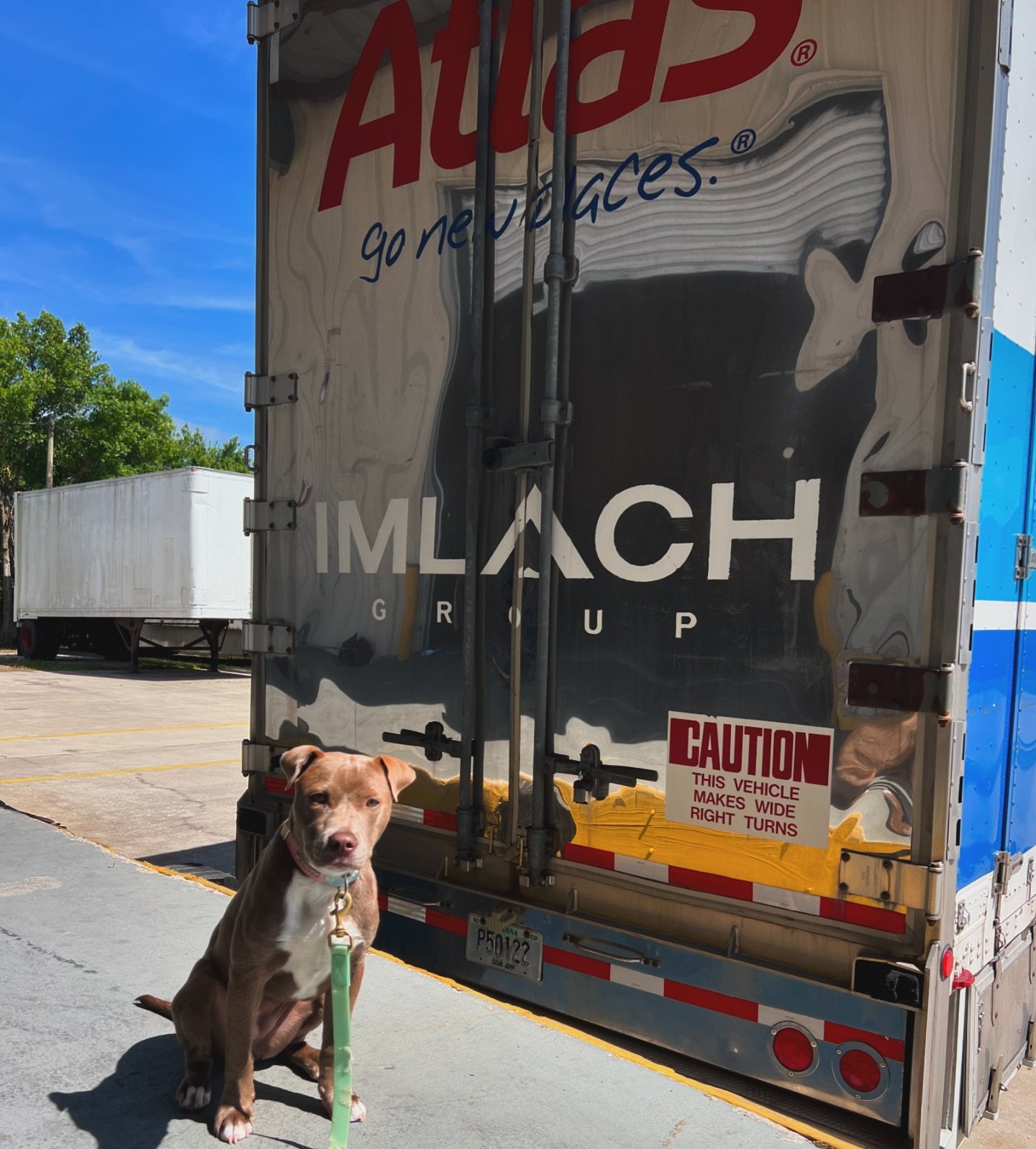 Happy Friday! 🩵🌴☀️

Luna assisted Imlach load our client to head out to the Midwest! Thanks for always sending us top notch drivers for our clients! 

@imlachgroup @atlasvanlines 

#CoastalVanLines #MovingServices #StorageServices #VeroBeach #India