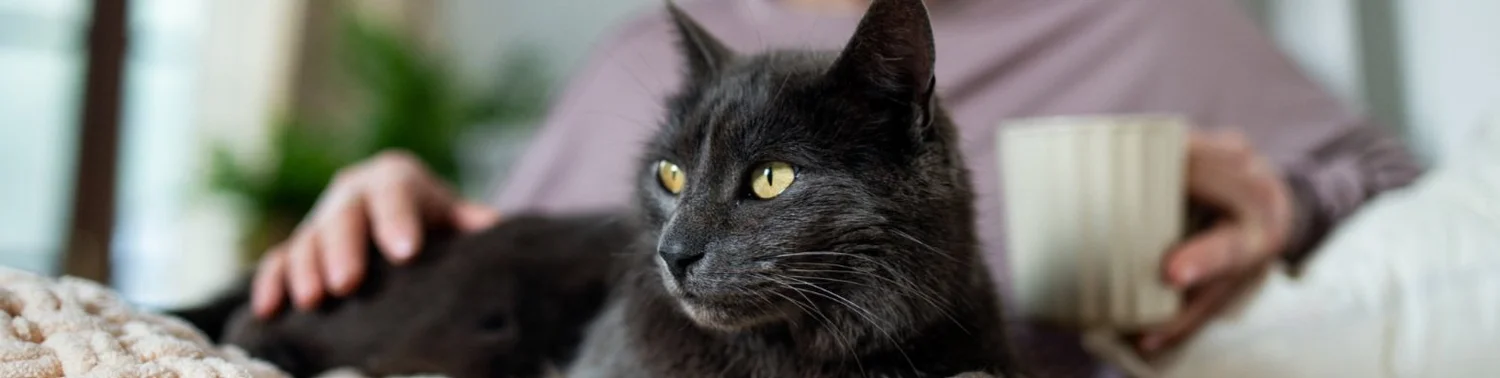 AnimalKind NY: Animal Welfare Organization and Shelter in Hudson, New York