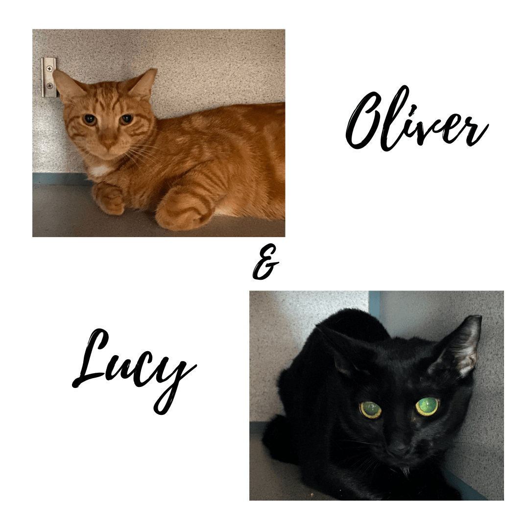 Lucy and Oliver-min.png