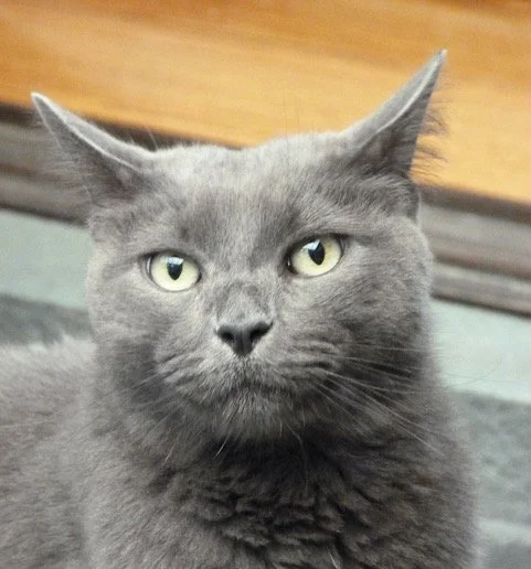 P1050692 (1) (1).jpeg