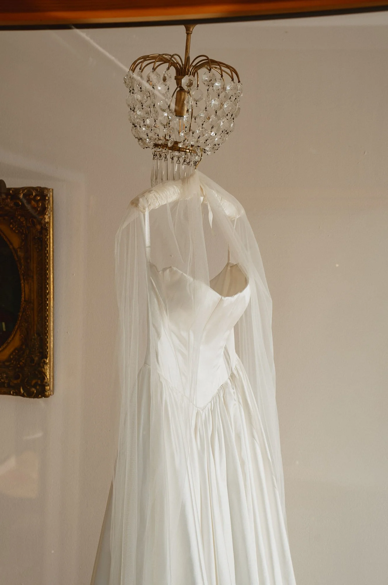 Mustelier Photography Bold Yes10.jpg