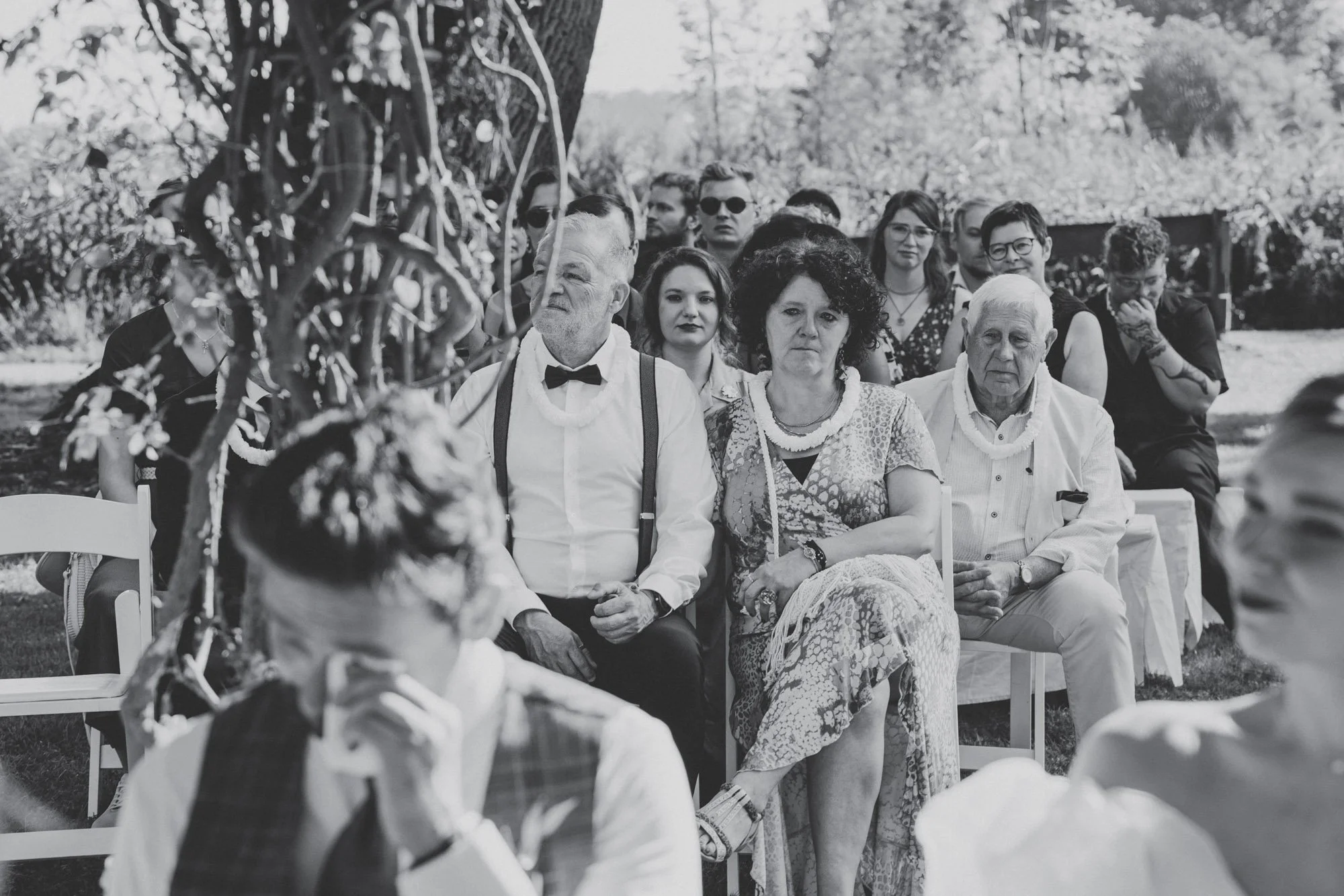 Mustelier JT 25-109.jpg