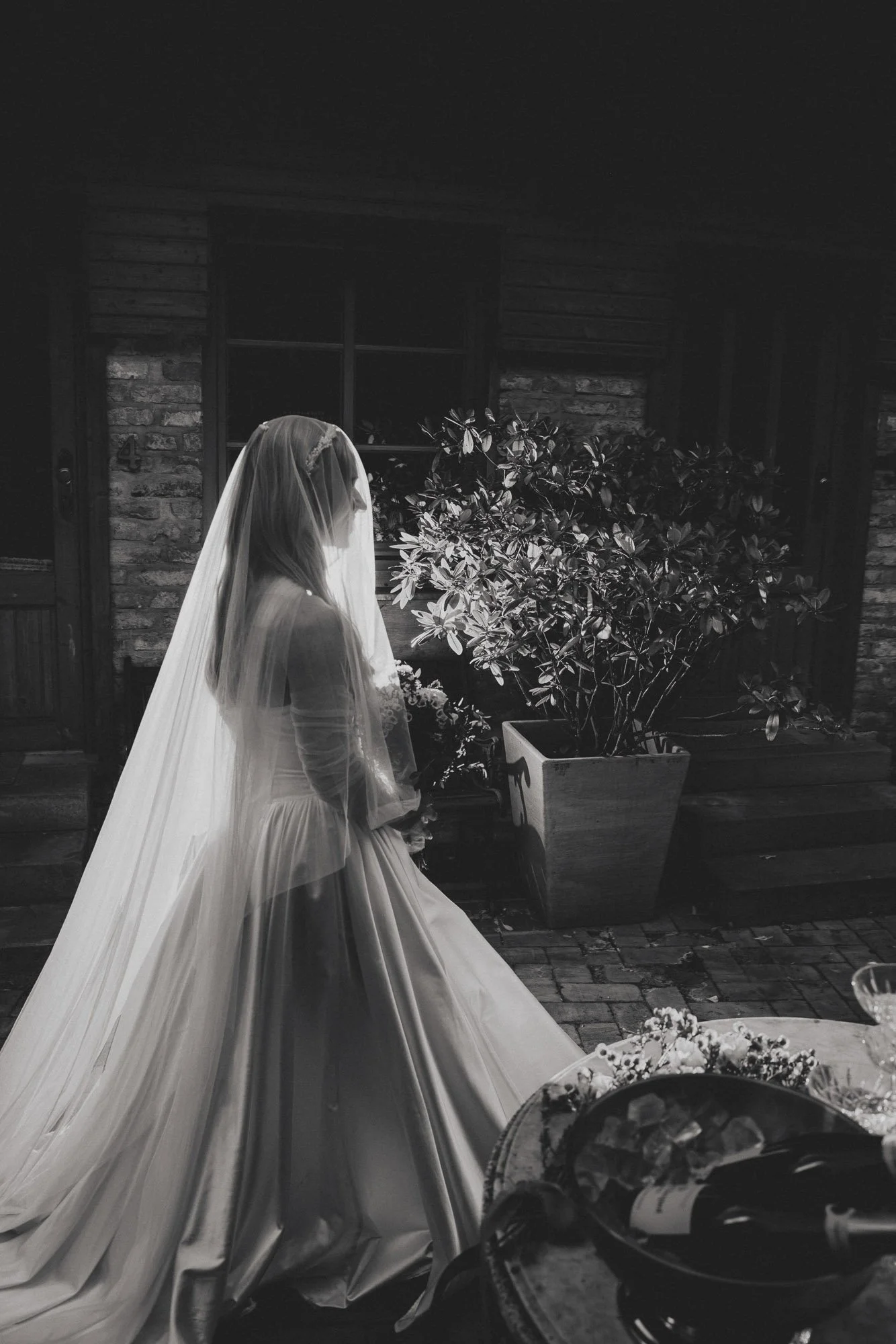 Mustelier Photography Bold Yes93.jpg