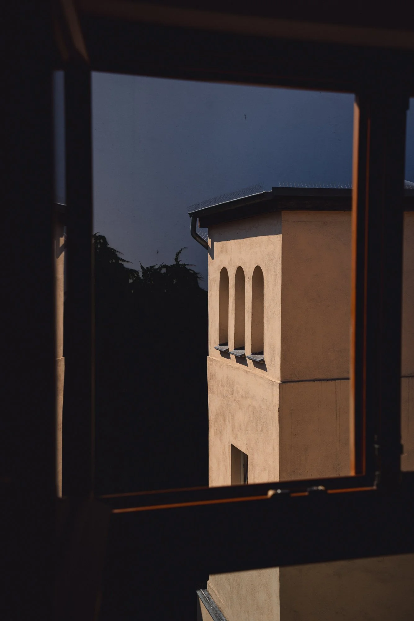 Mustelier Photography Bold Yes28.jpg