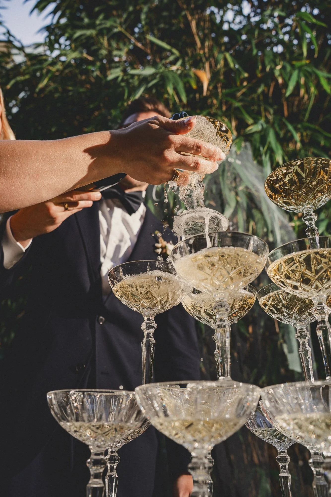 Mustelier Photography Bold Yes128.jpg