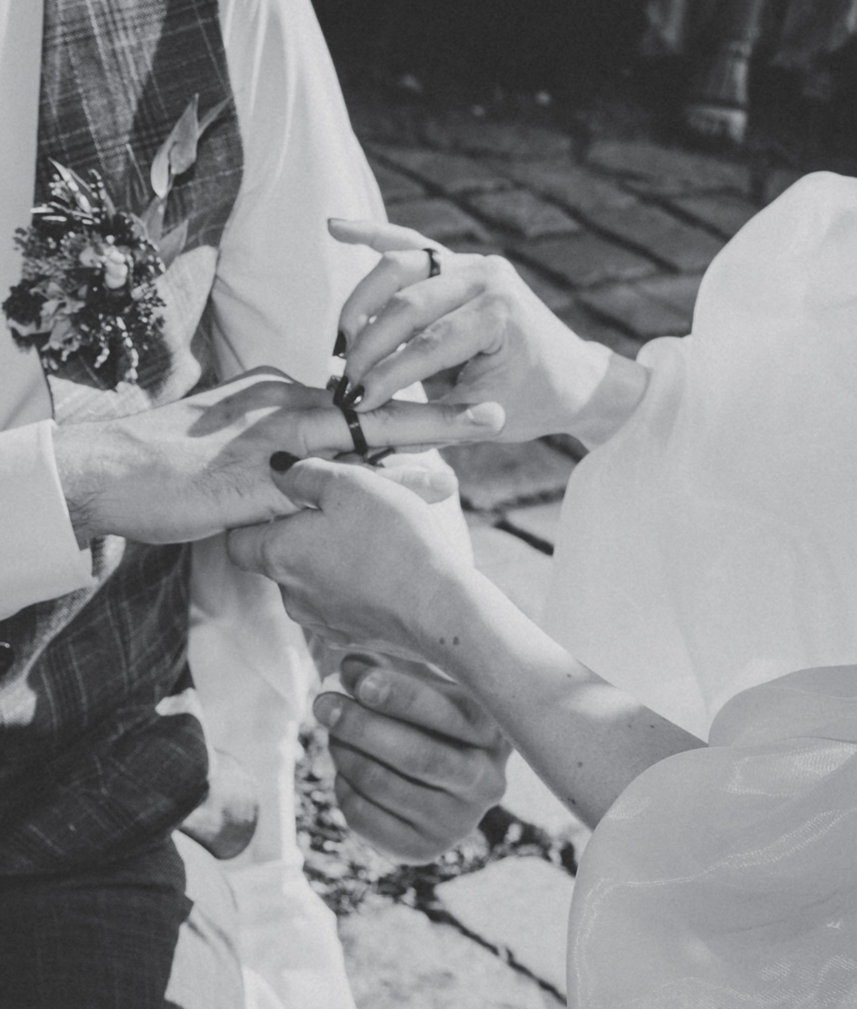 Mustelier JT 25-48.jpg