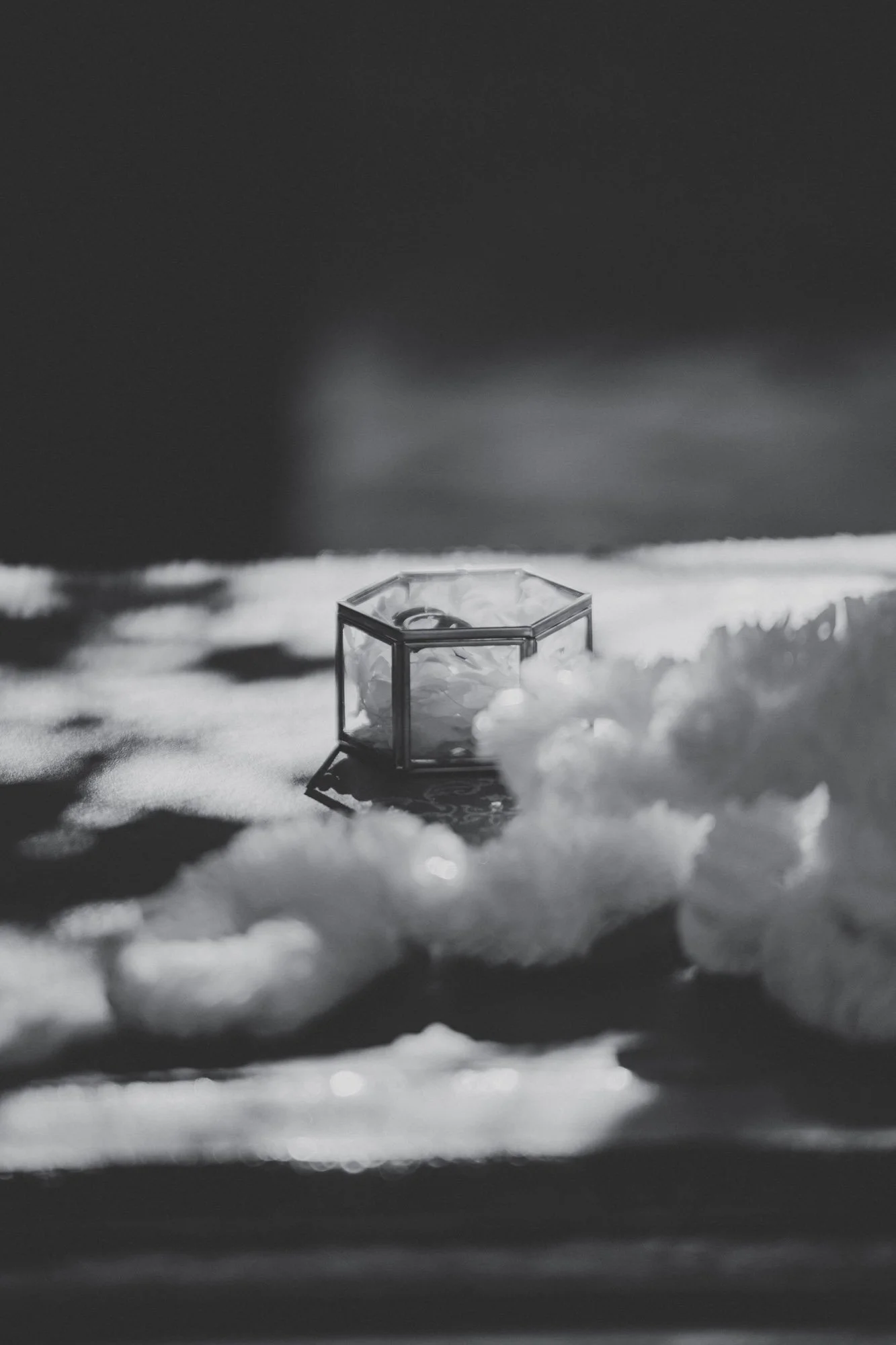 Mustelier JT 25-96.jpg