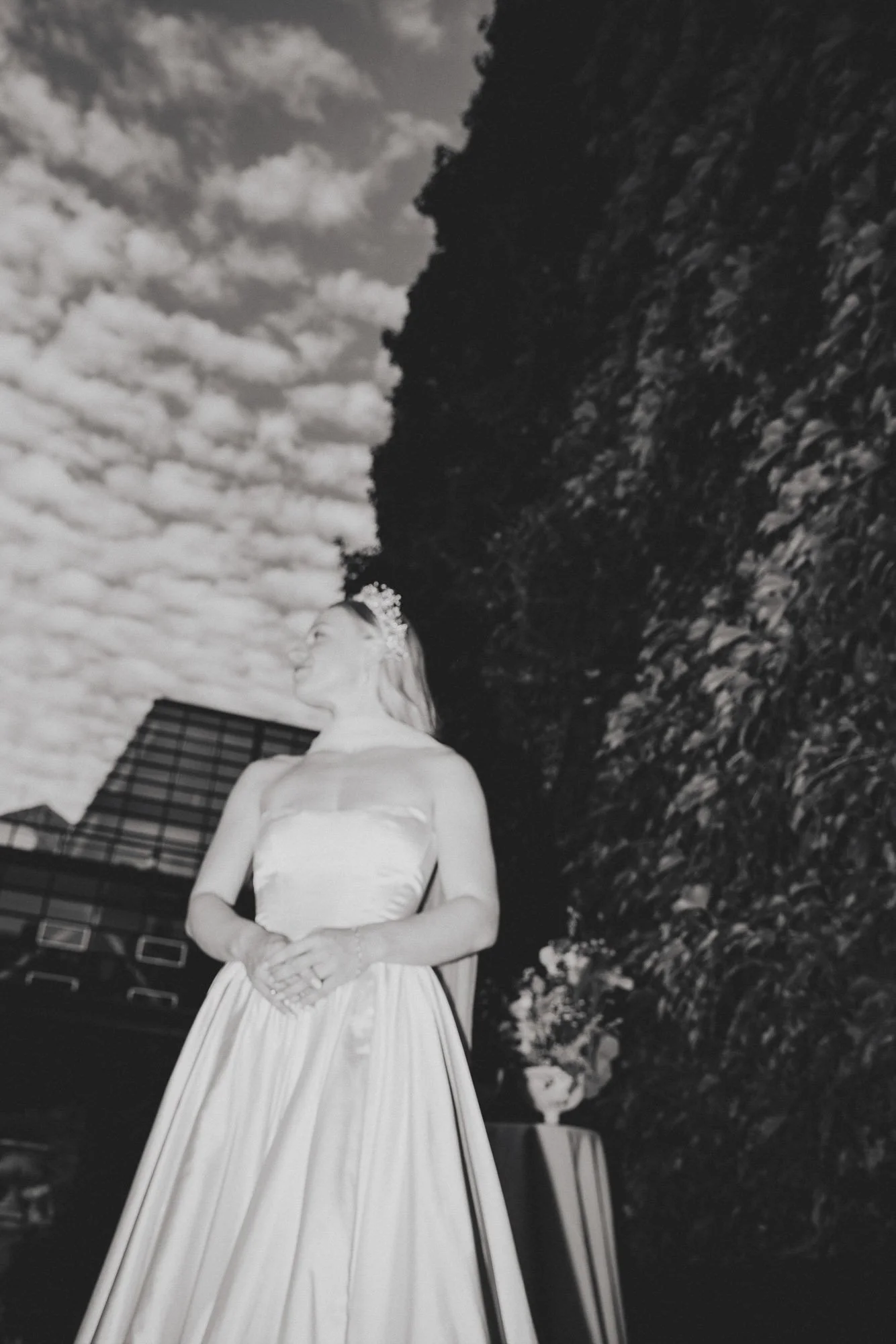 Mustelier Photography Bold Yes184.jpg