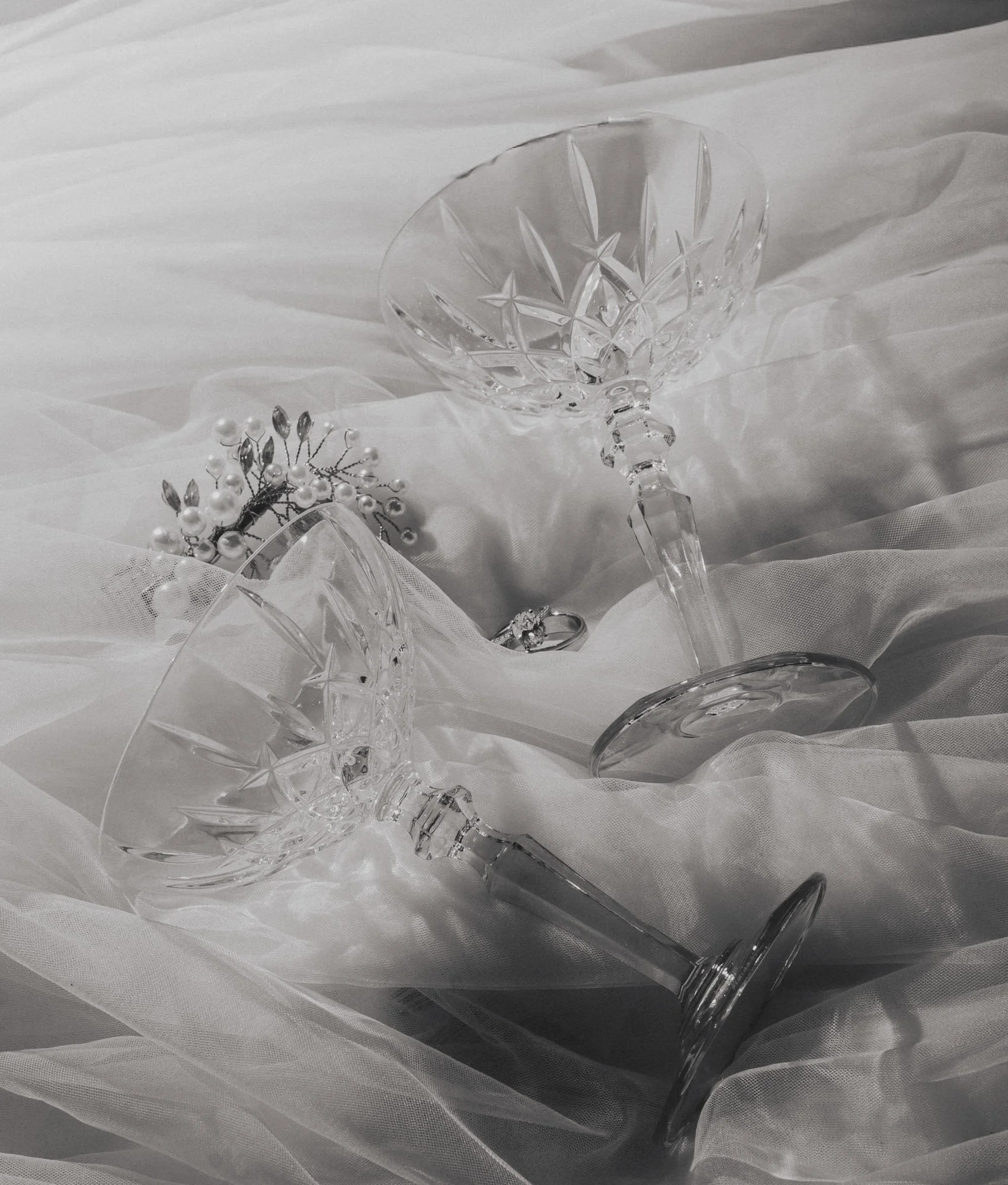 Mustelier Photography Bold Yes15.jpg