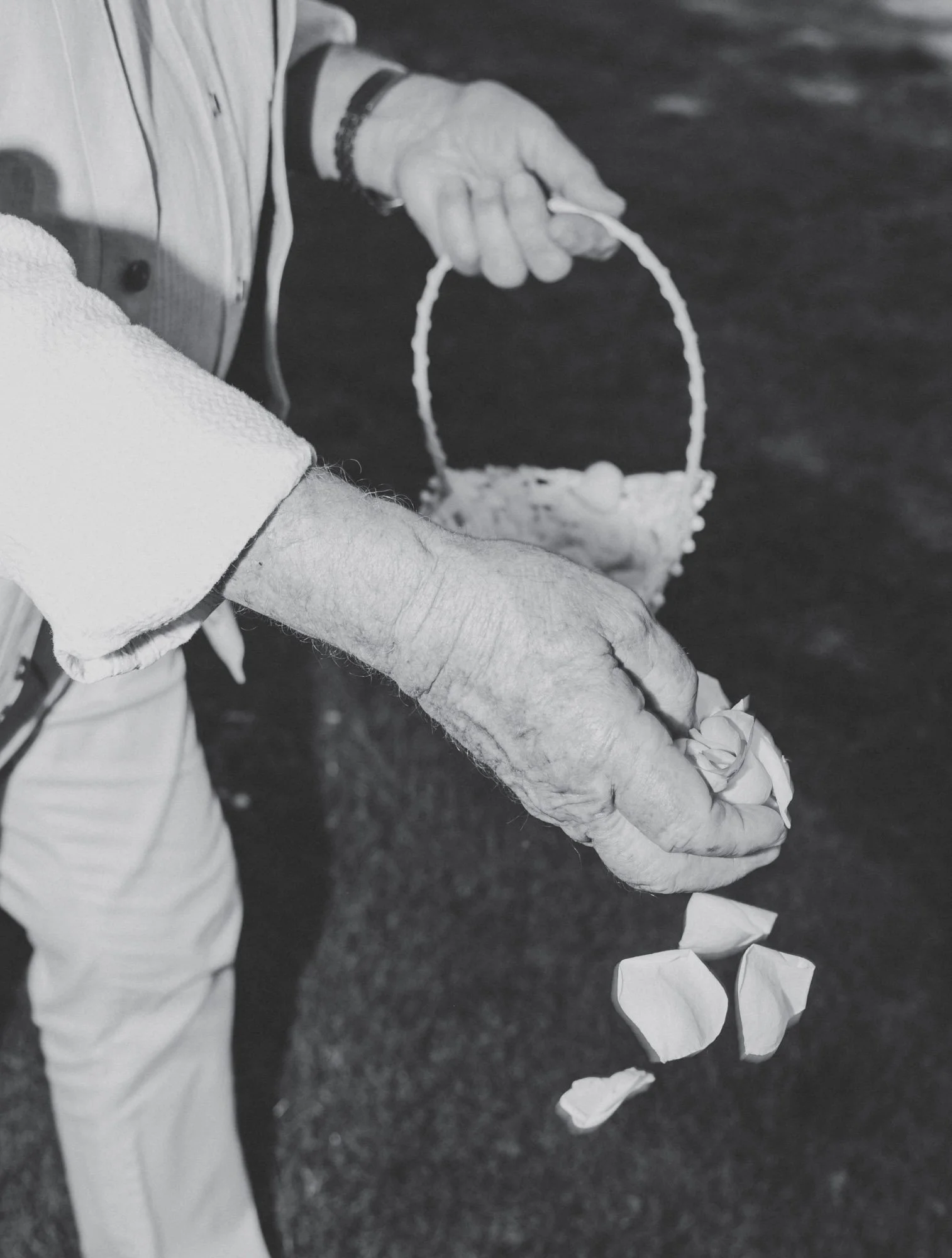 Mustelier JT 25-41.jpg