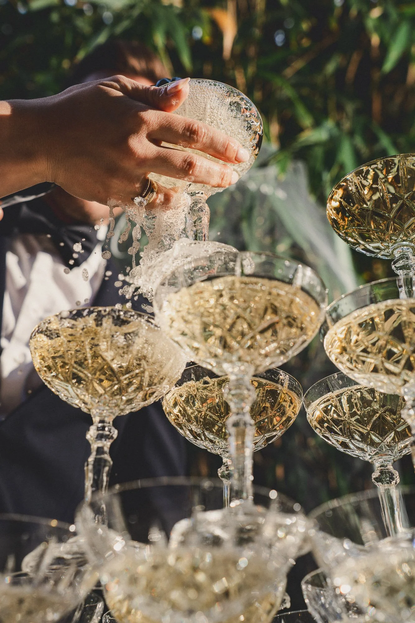 Mustelier Photography Bold Yes133.jpg