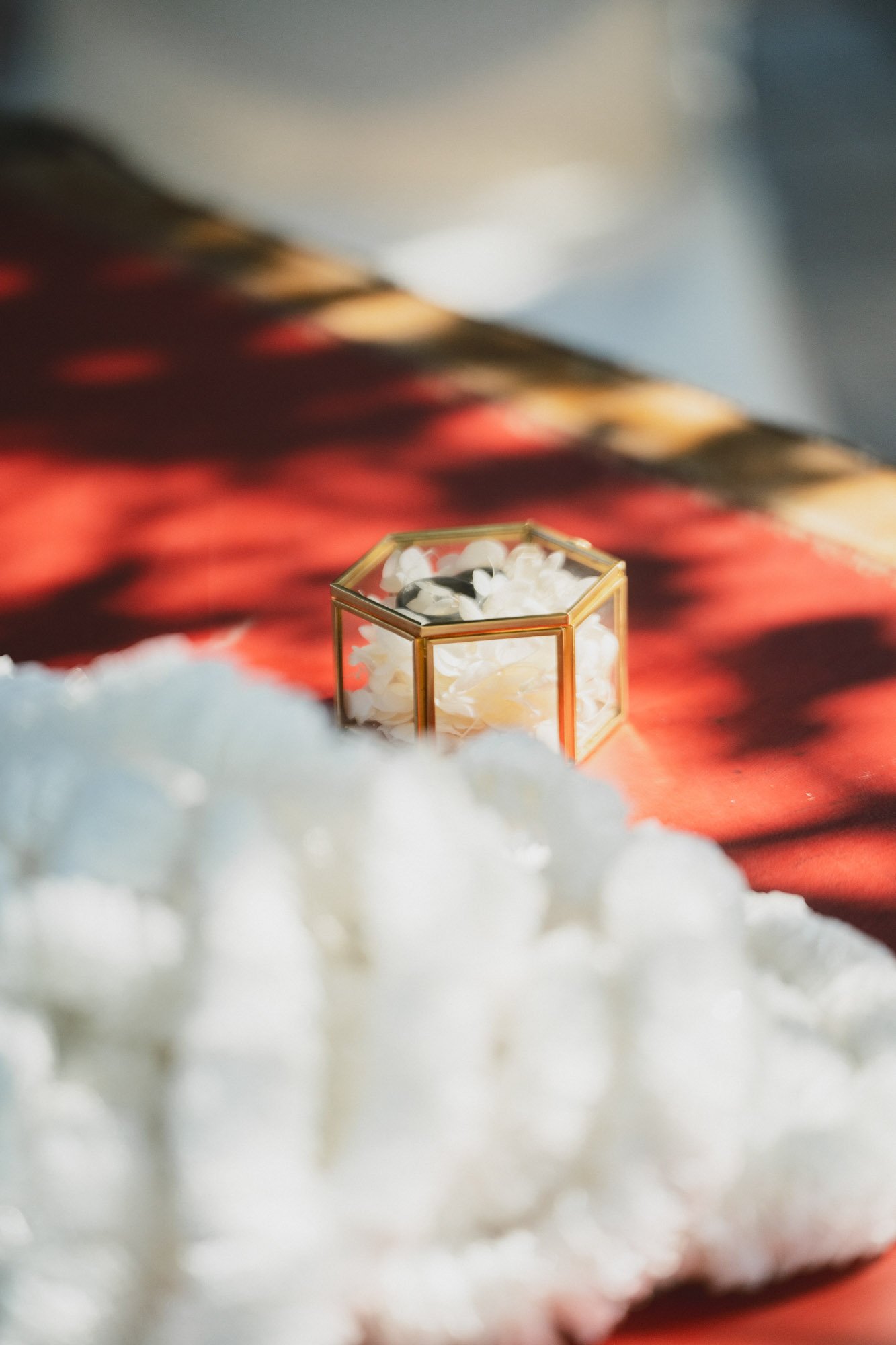 Mustelier JT 25-95.jpg