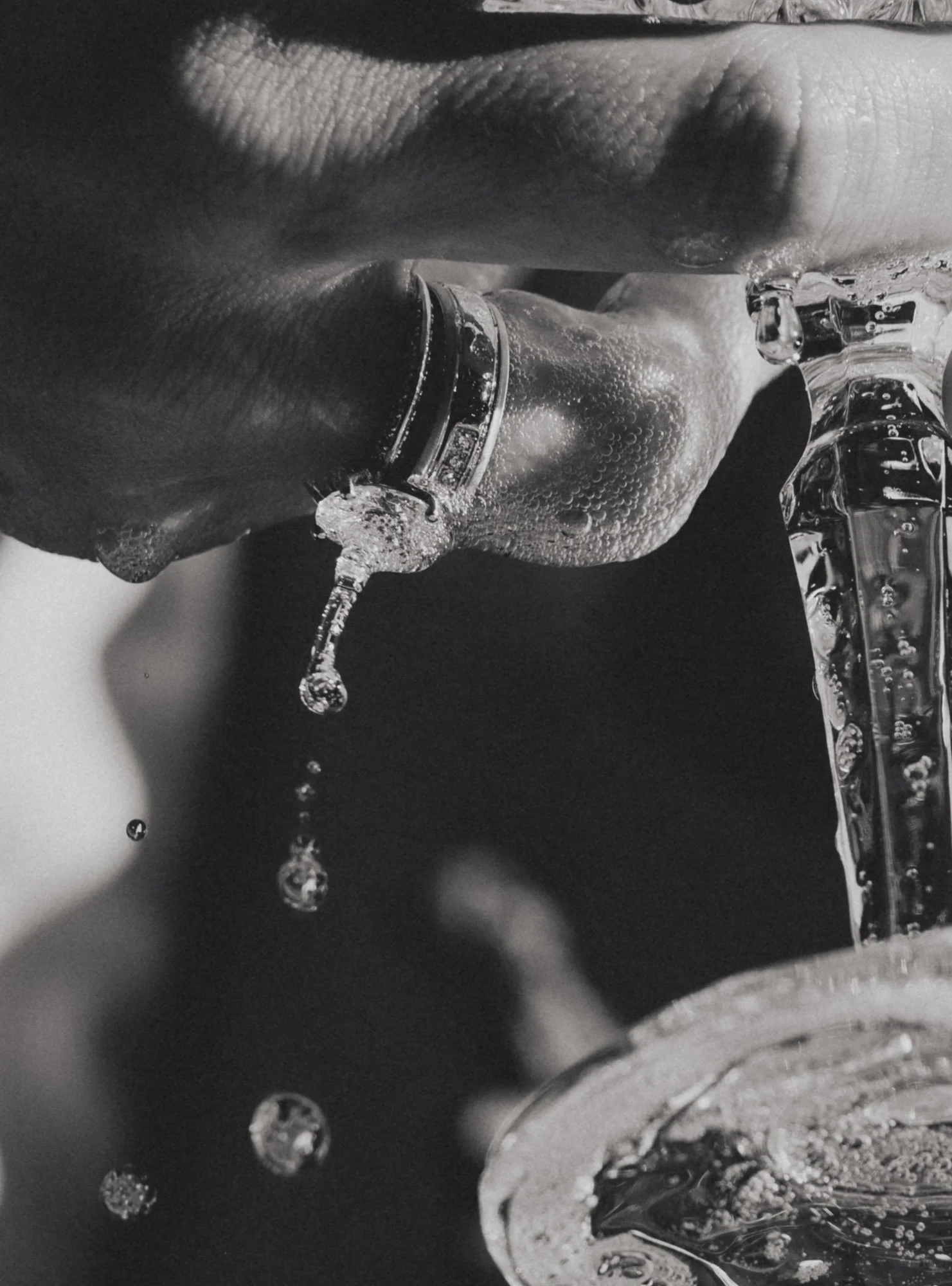 Mustelier Photography Bold Yes131.jpg