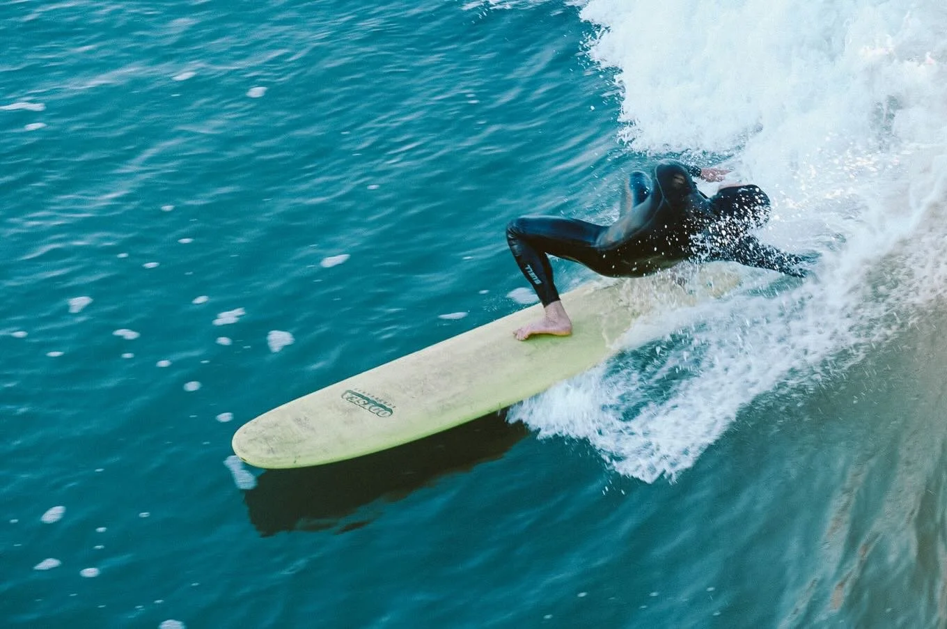 Winter bounty 

#surf #sony #digitalphotography