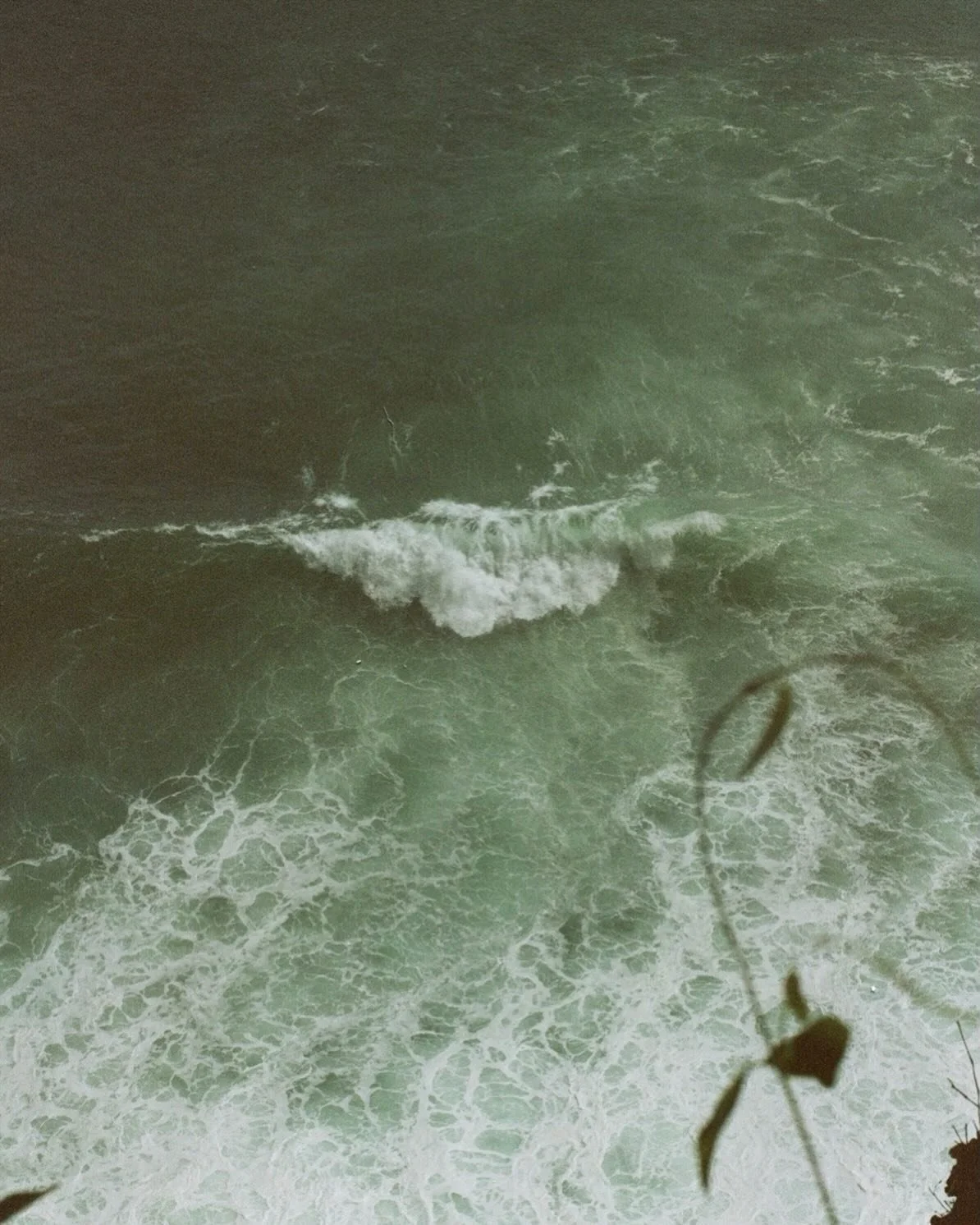 &amp; then I woke up on that funny island again,

and it had been a long time. 

#film #nikon