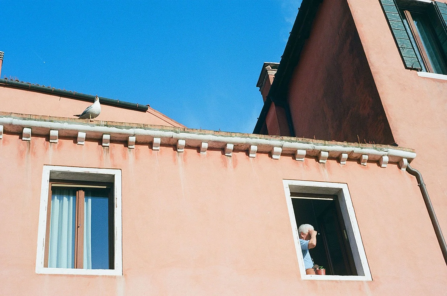 3_Venice_Age_2024_Sarah Plenge.jpg