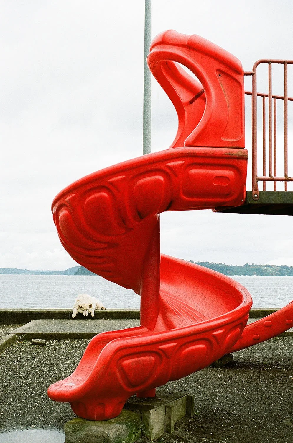 15_Chiloe_Rojo_2022_Sarah Plenge.jpg