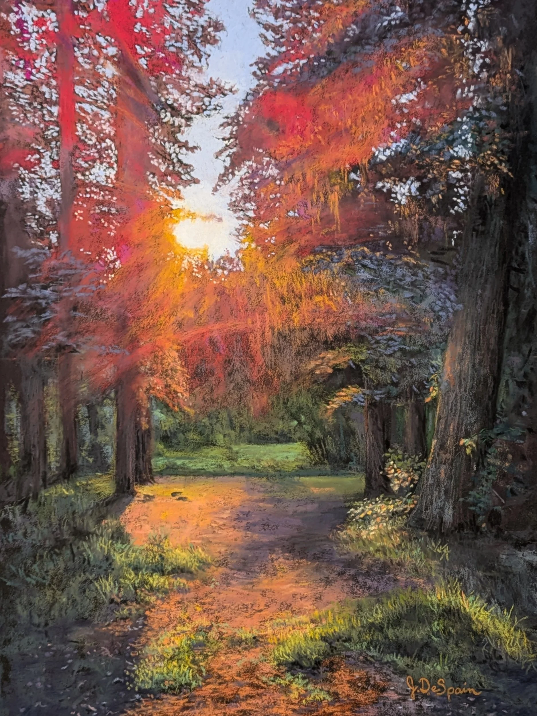 "Forest Flare" 12 x 16